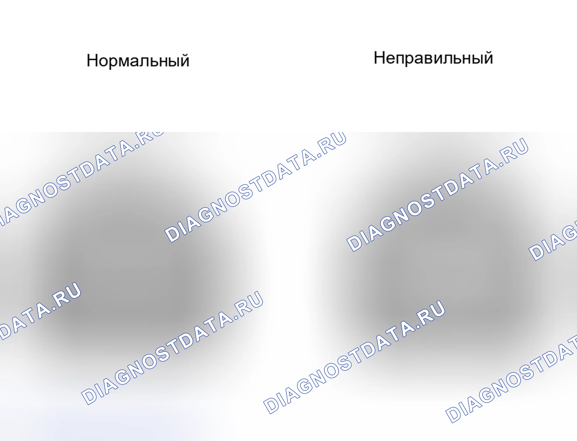 Рис. 6. Kia Sorento I