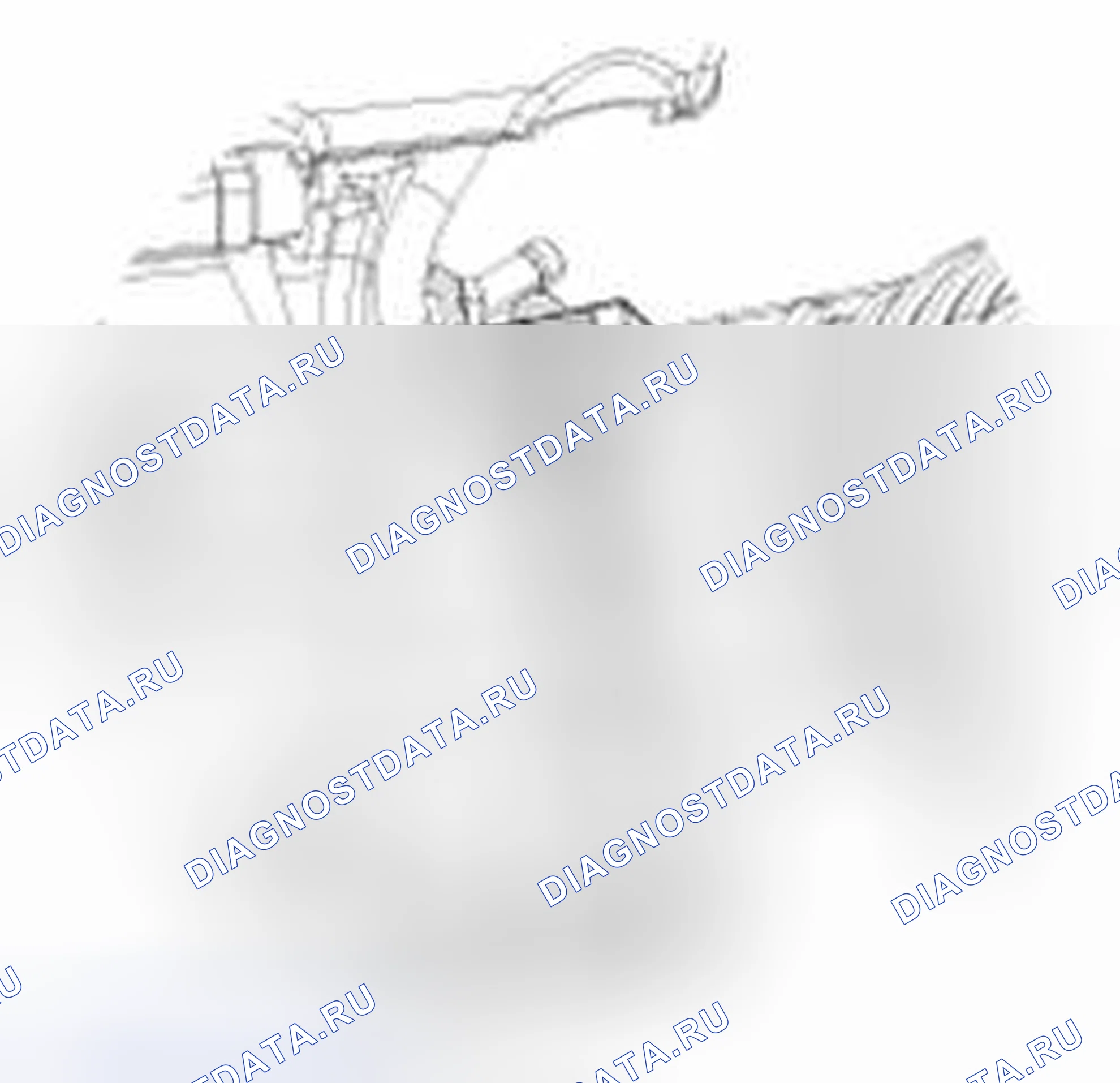 Рис. 134. Haval Beast (Shenshou) I