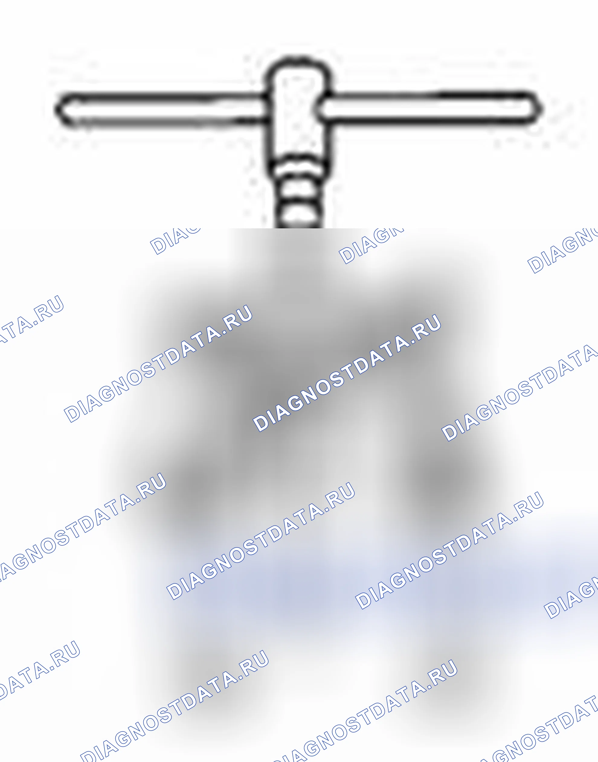 Рис. 244: Инструмент коммерческого обслуживания. Suzuki Equator I