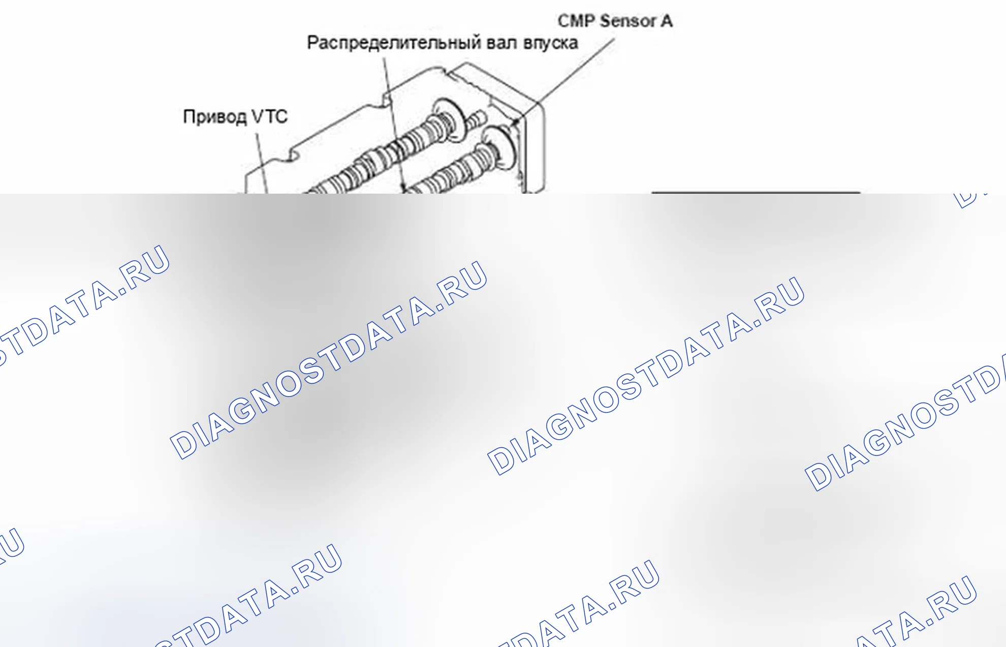 Рис. 319: расшифровка кода ошибки P1009: Неисправность опережения регулятора фаз газораспределения (VTC). Honda Element YH2 рестайлинг 2