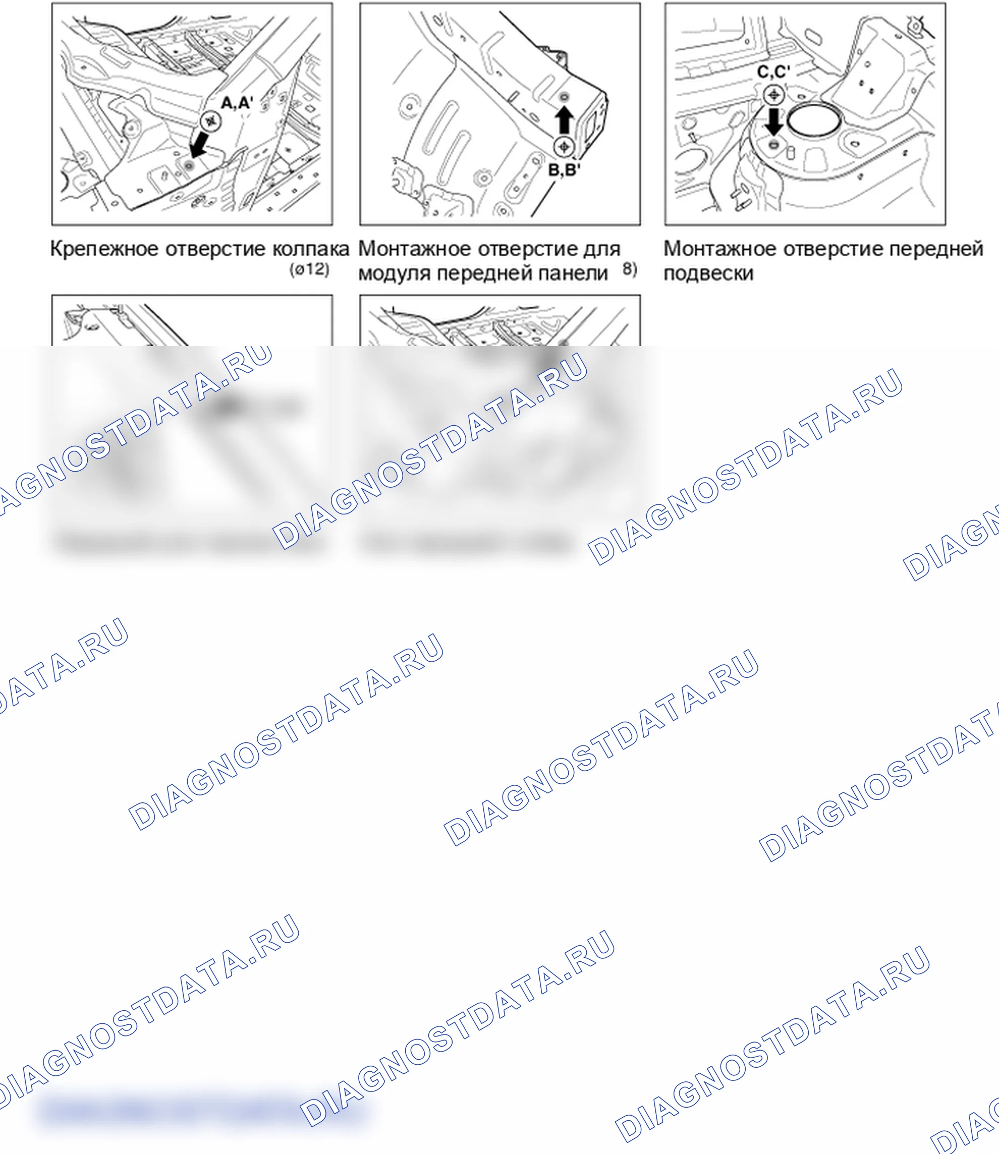 Передняя часть тела. Hyundai ix35 EL