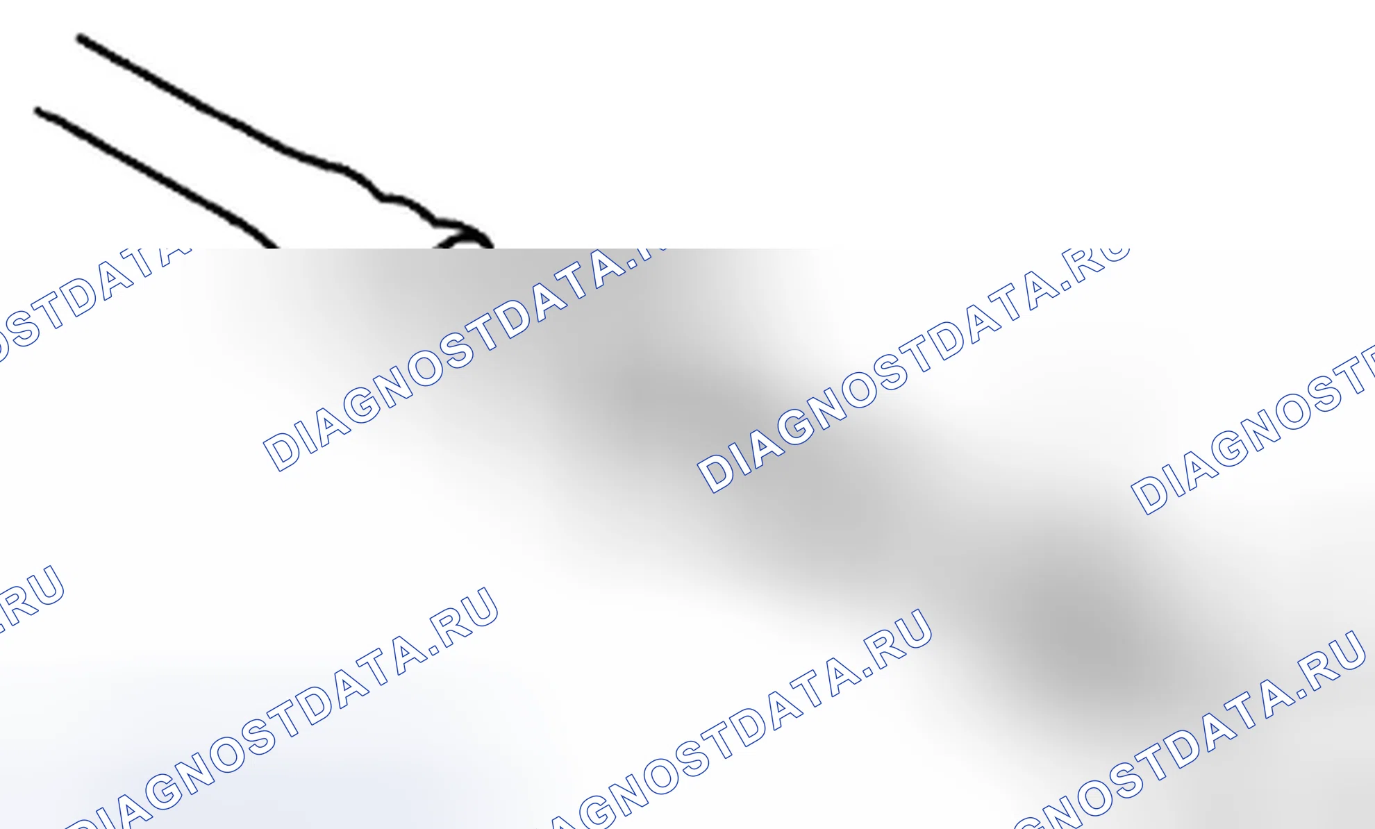 Рис. 194. Honda Crosstour I