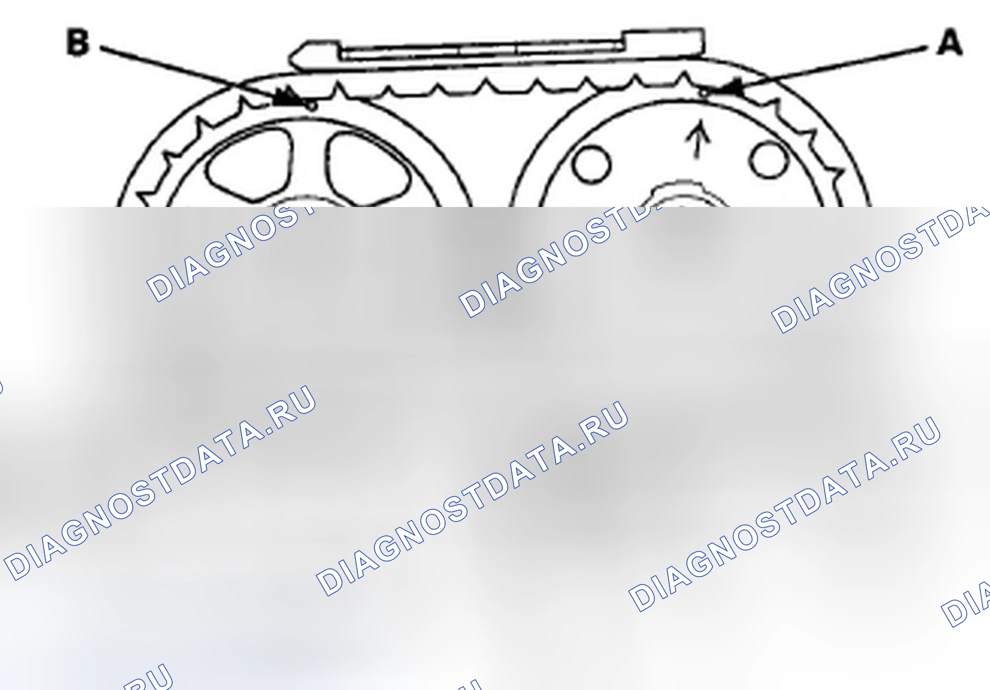 Рис. 421: Проверка кулачковой цепи. Honda Crosstour I