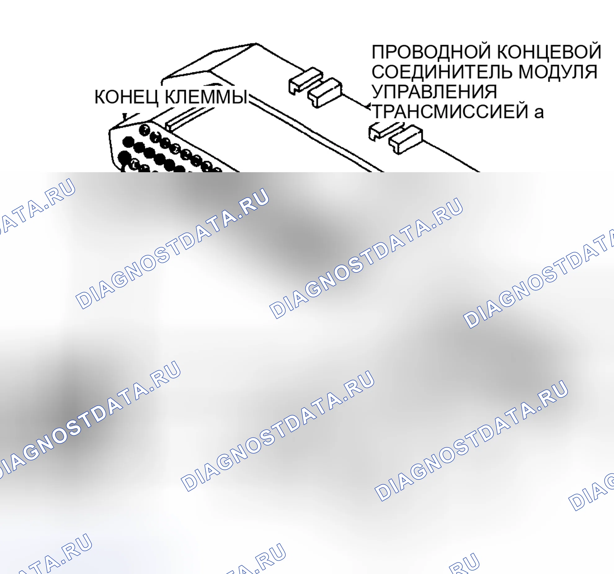 Рис. 212: Проверка соленоида L-R / R Ckt на разъеме блок управления трансмиссией (TCM) (блок управления трансмиссией) (2 из 2). Plymouth Grand Voyager II