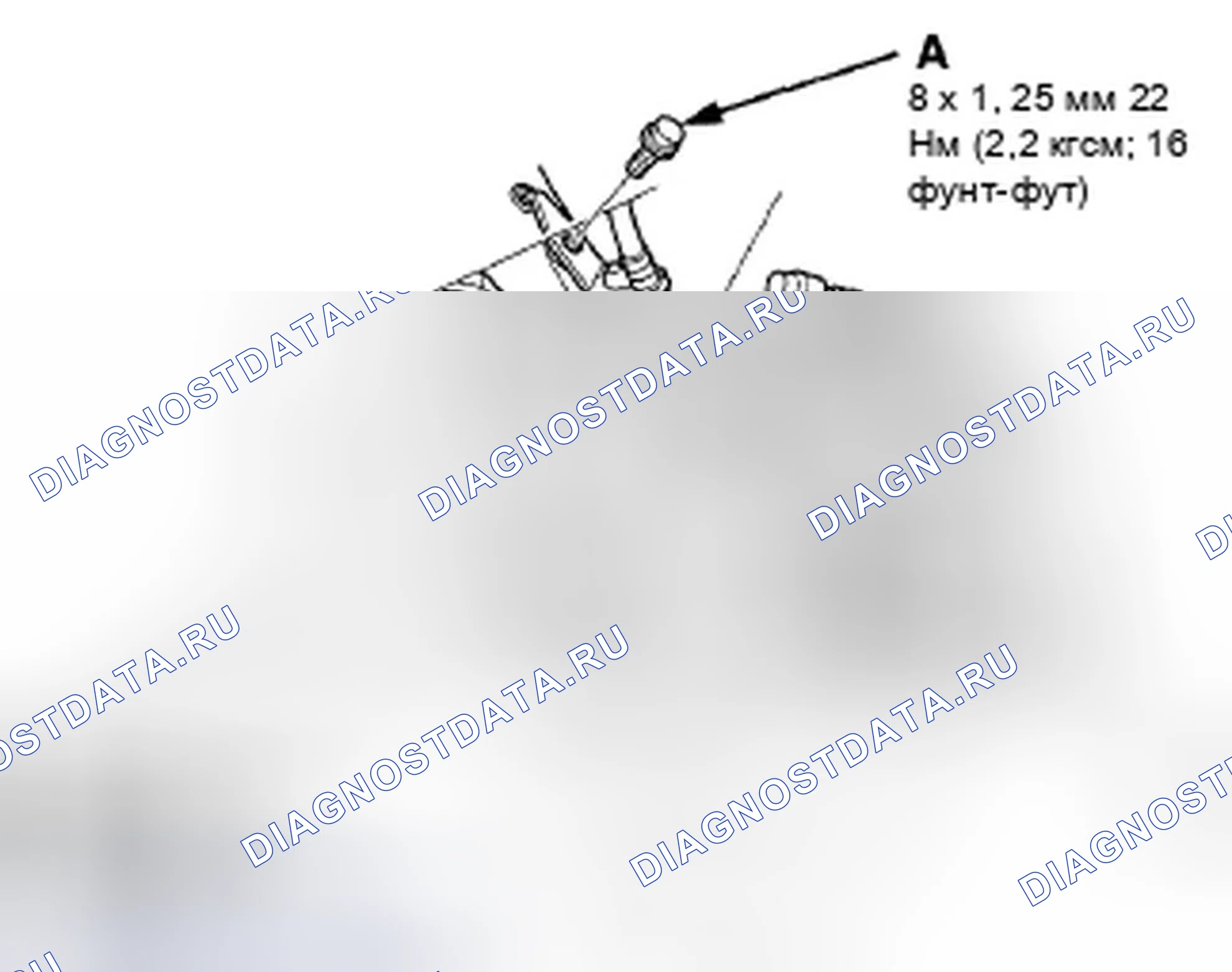 Рис. 81. Honda Accord VIII рестайлинг