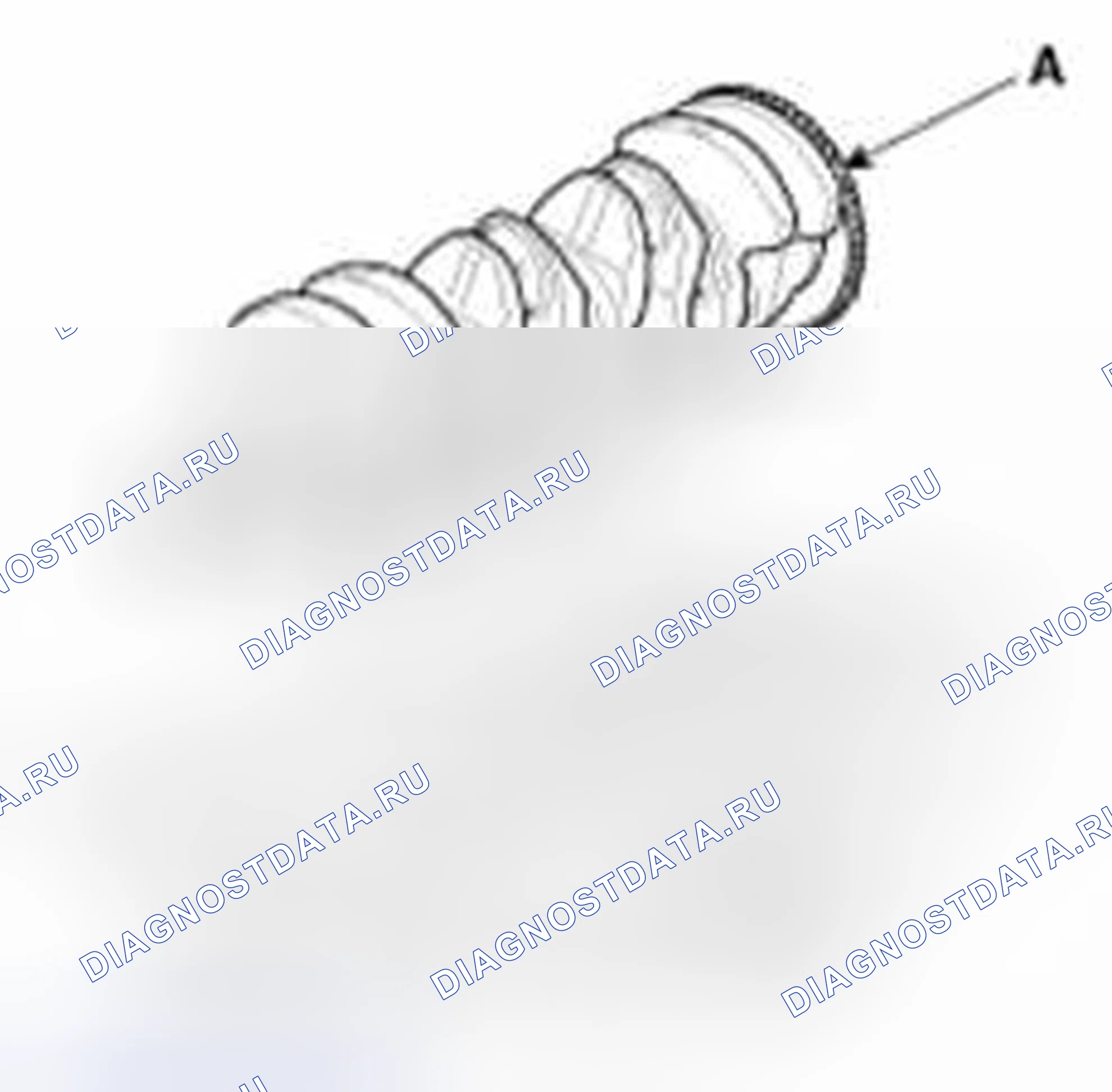 Рис. 286. Haval Beast (Shenshou) I