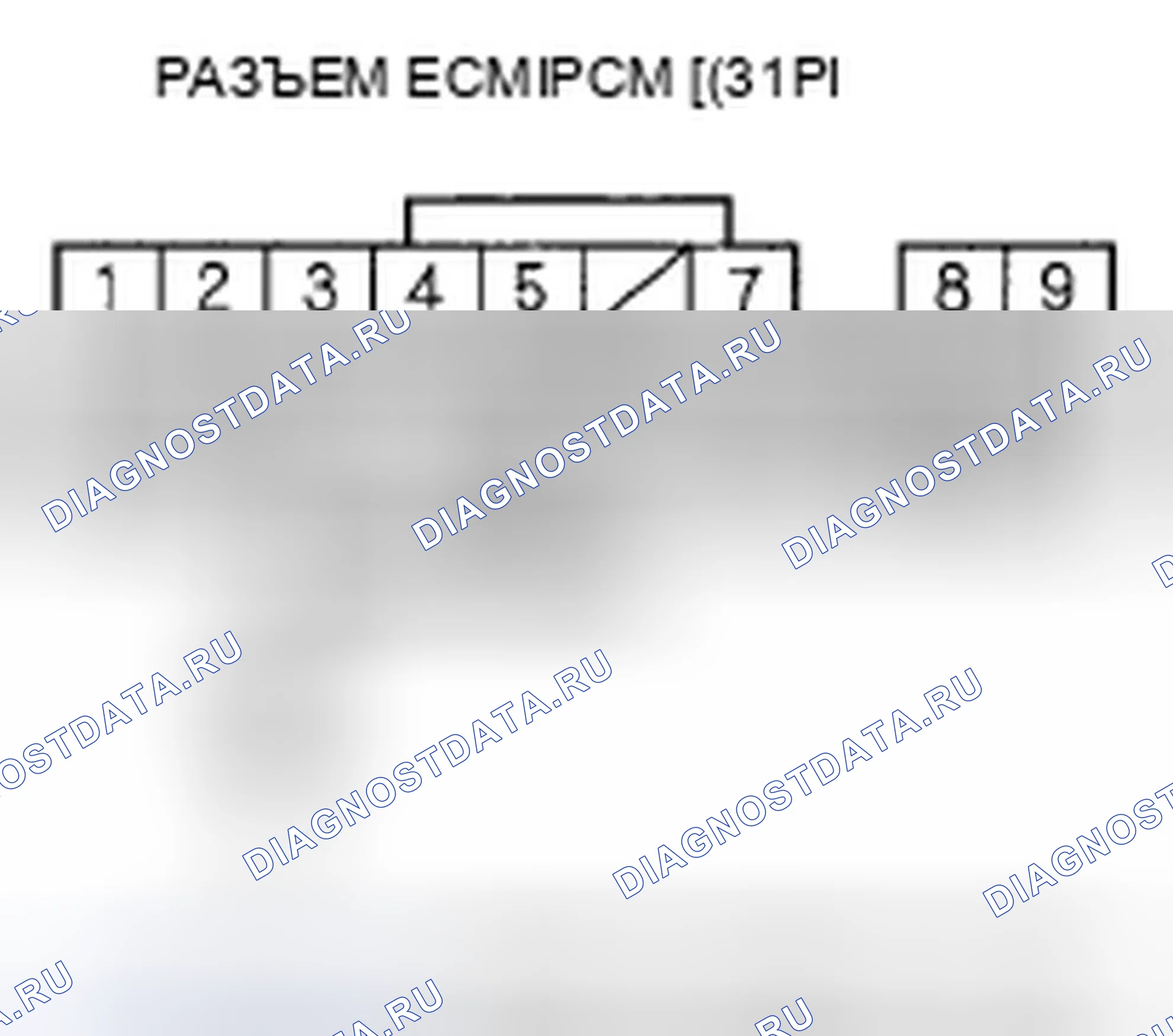 Рис. 504. Honda Element YH2 рестайлинг