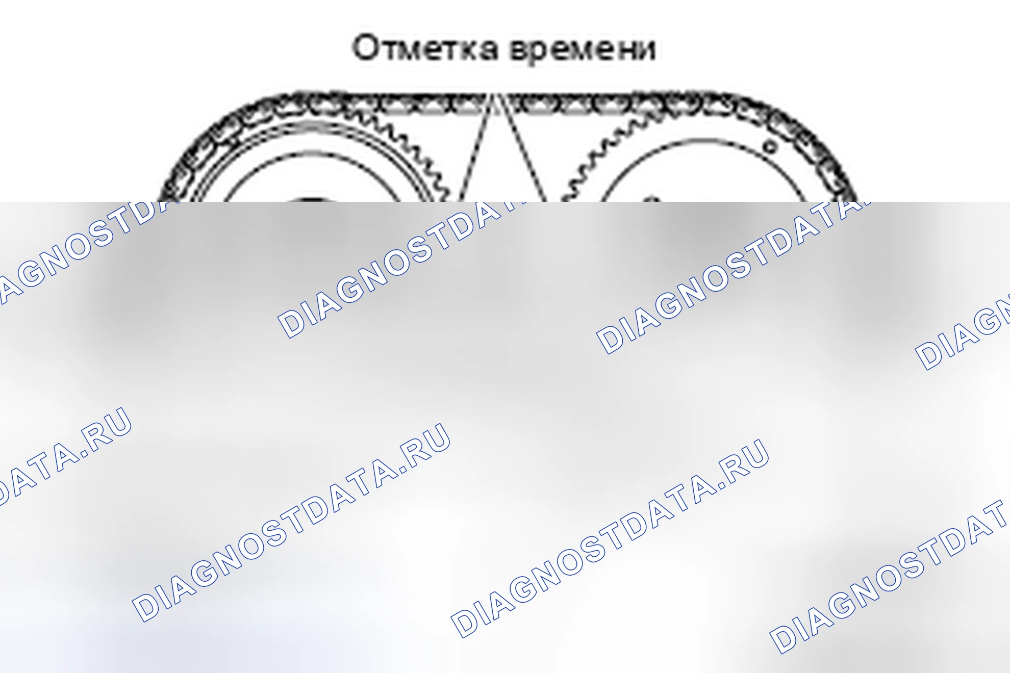 Рис. 98: ВИЗУАЛЬНАЯ ПРОВЕРКА УДЛИНЕНИЯ ЦЕПИ ГРМ. Mazda MX-5 NB