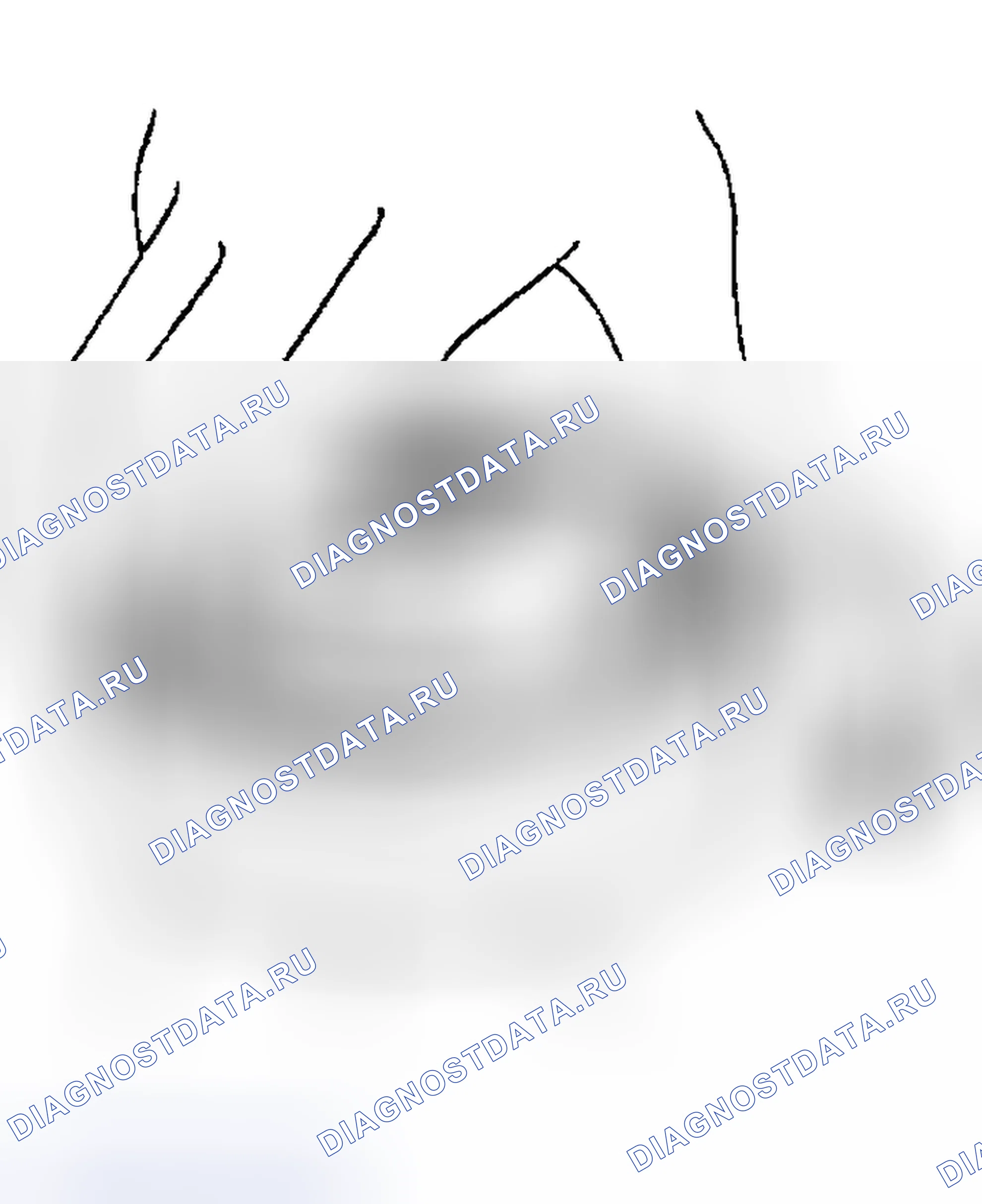 Рис. 1752: Подшипники. Nissan Sentra B15