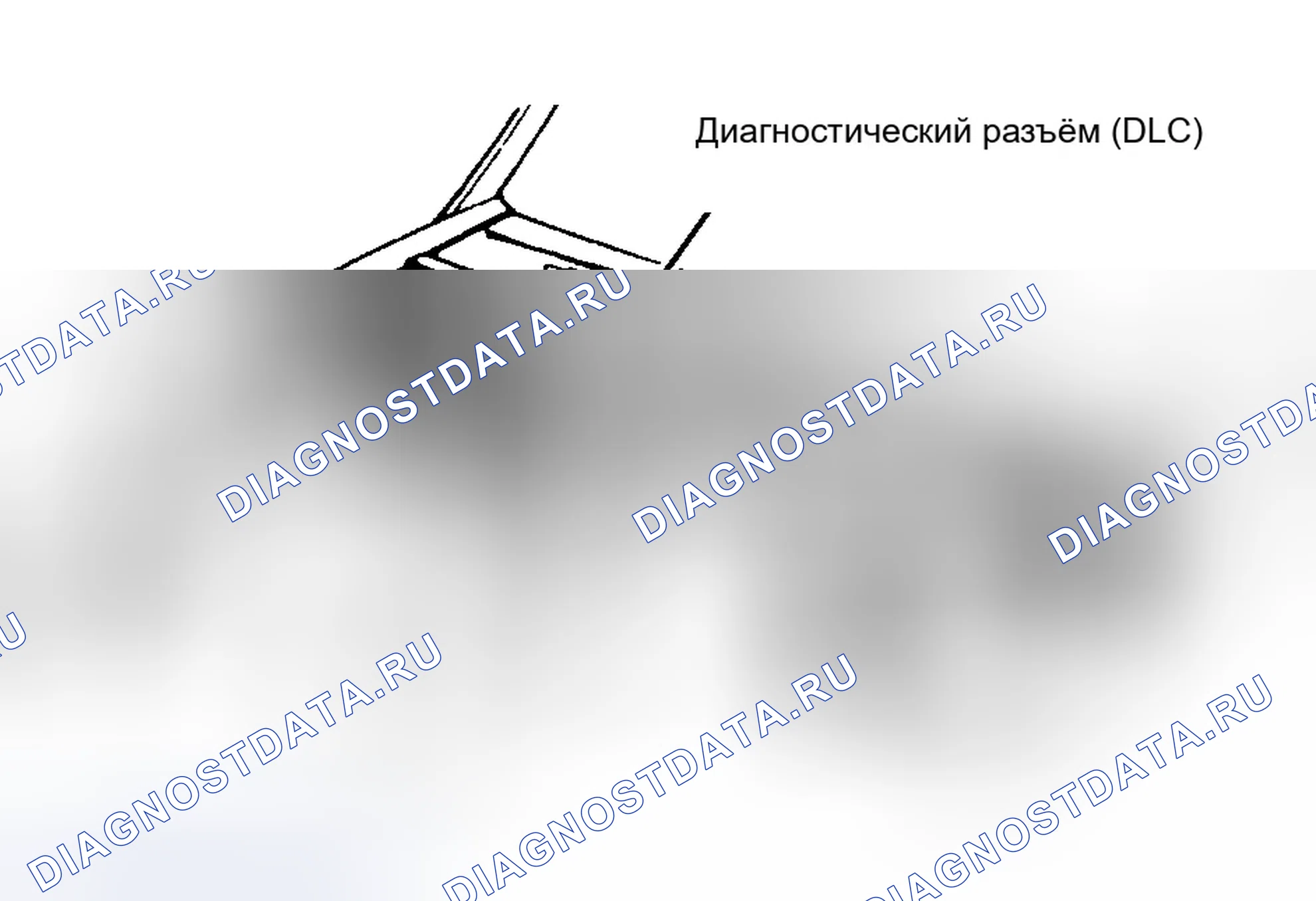 Рис. 175. Dodge Dakota WS 