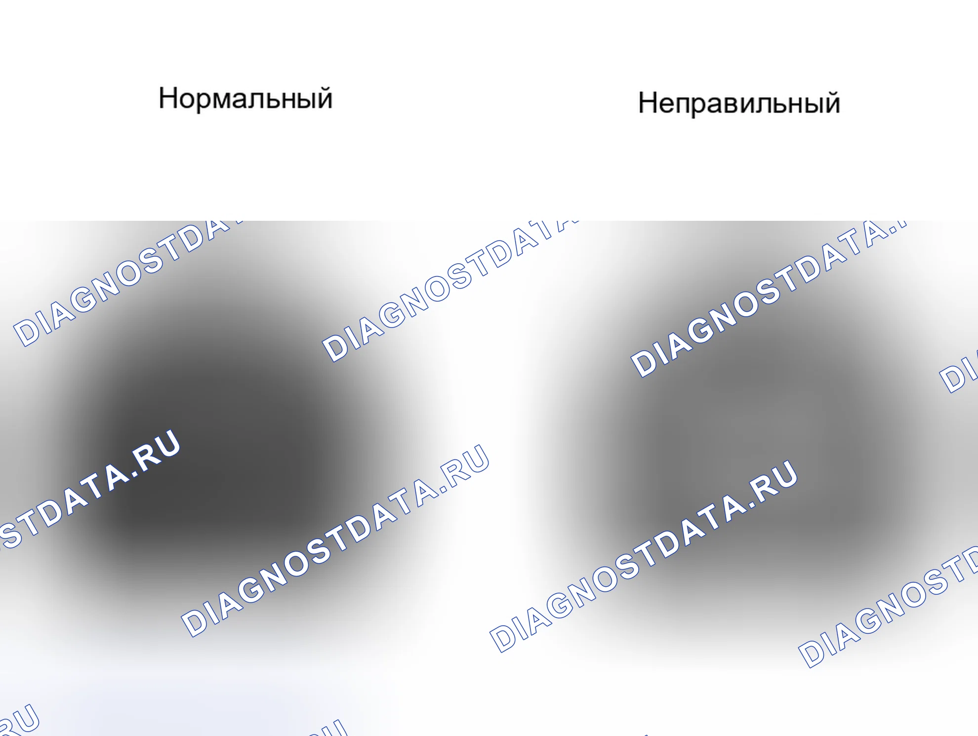 Рис. 2. Toyota Highlander I