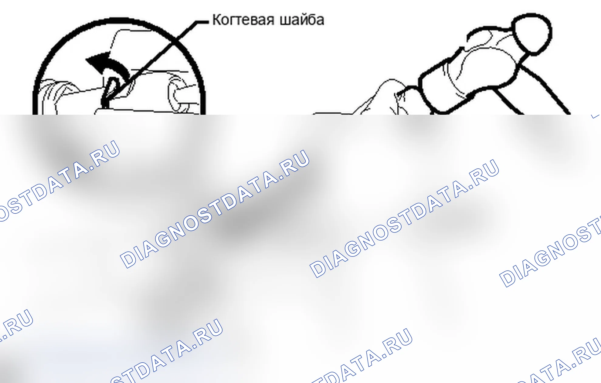 Рис. 42. Lexus IS F I