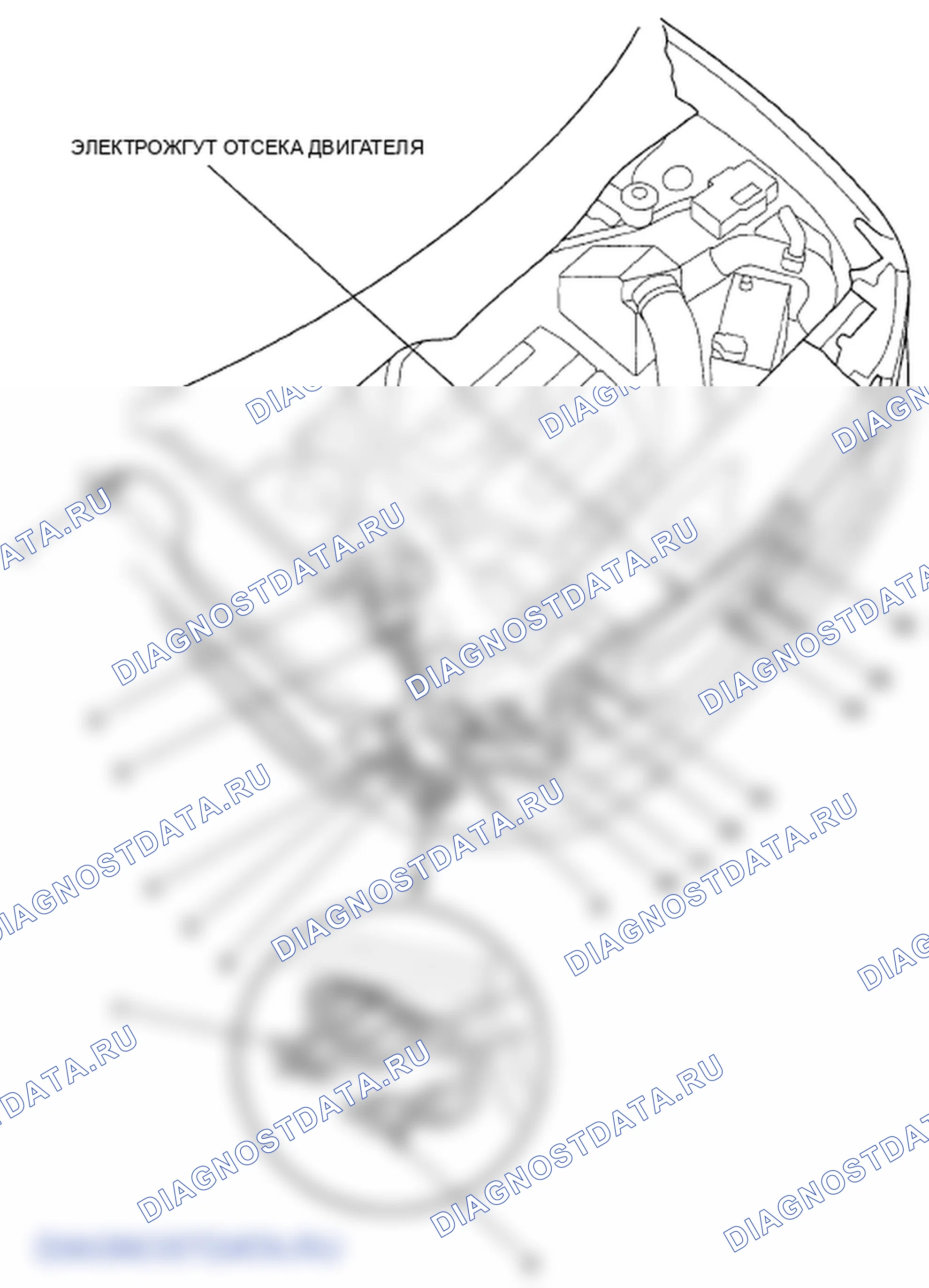 Рис. 45. Honda Element YH2 рестайлинг 2