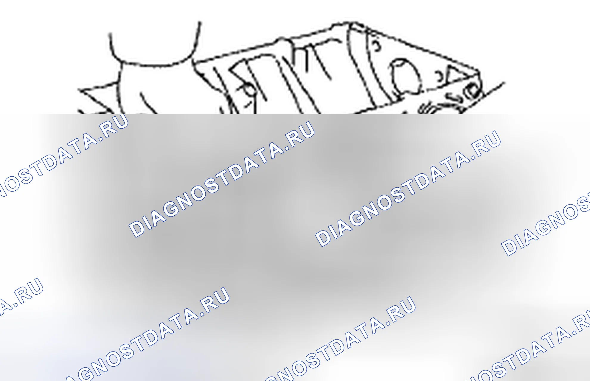 Рис. 298. Toyota 4Runner IV рестайлинг