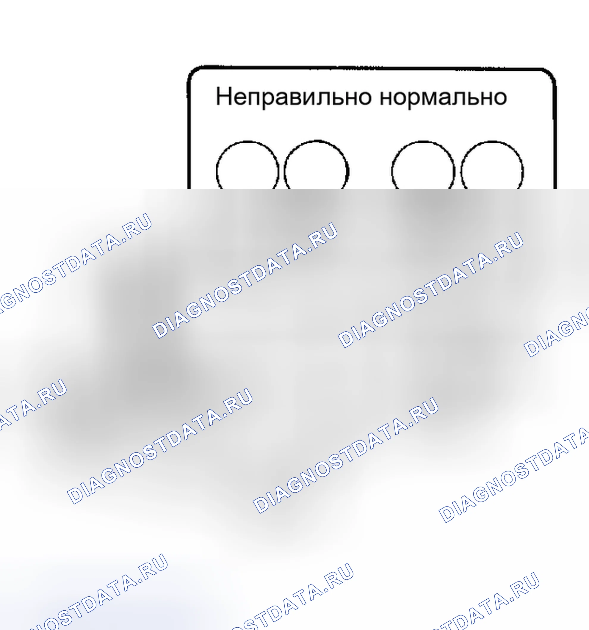 Рис. 2. Toyota 4Runner IV