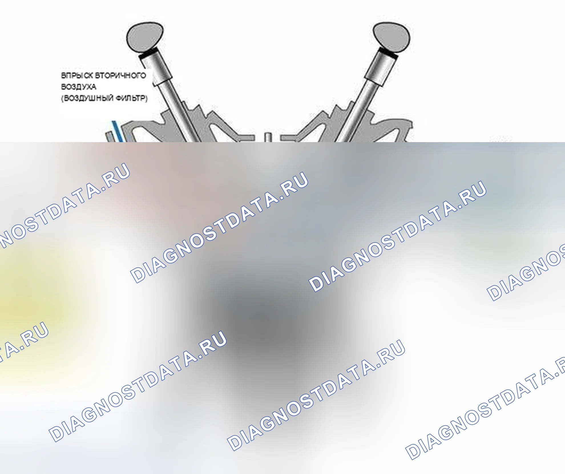 Рис. 1309. BMW X5 E53 рестайлинг