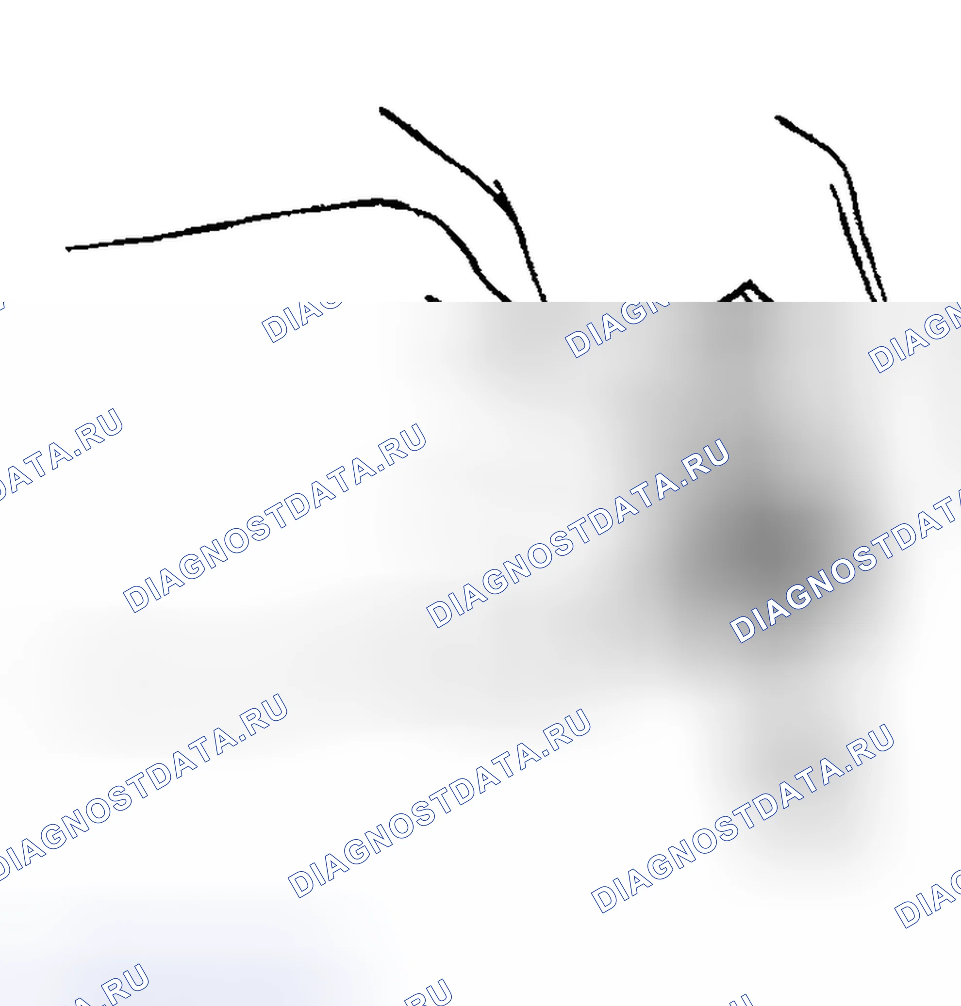 Рис. 39. Mazda MX-5 NA