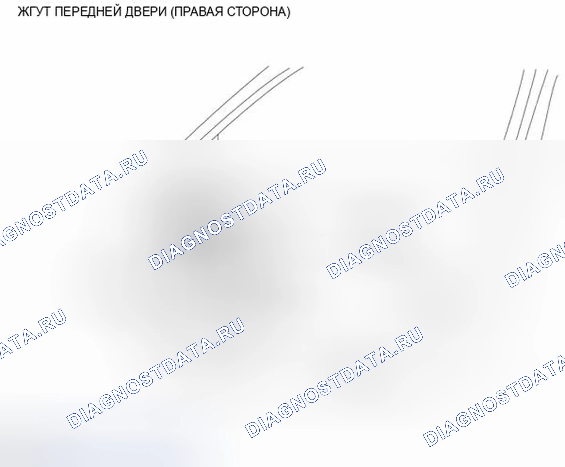 Рис. 53: ЖГУТ ПЕРЕДНЕЙ ДВЕРИ (ПРАВАЯ СТОРОНА). Infiniti M37 IV