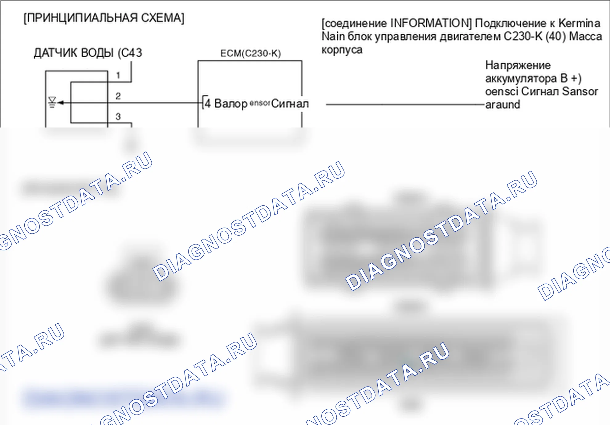 Фрагмент электросхемы: P2264. Hyundai Santa Fe CM