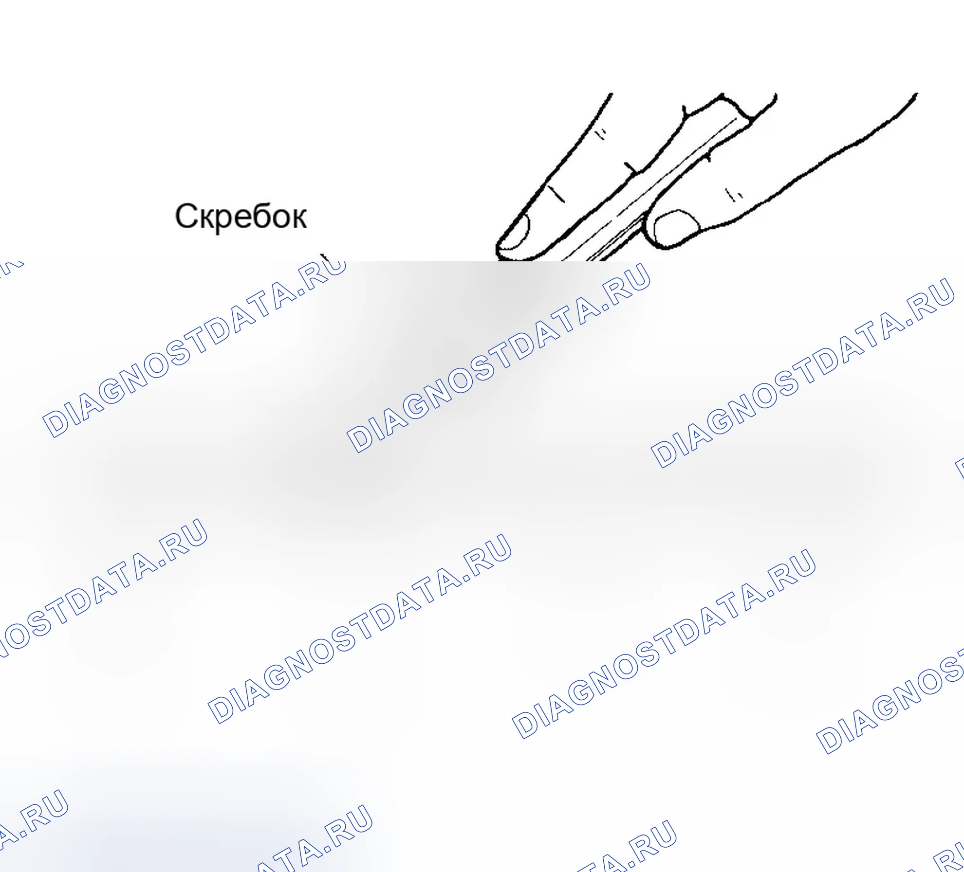 Рис. 14: ПРОЦЕДУРА УСТАНОВКИ ЖИДКОСТНОЙ ПРОКЛАДКИ. Infiniti QX56 I