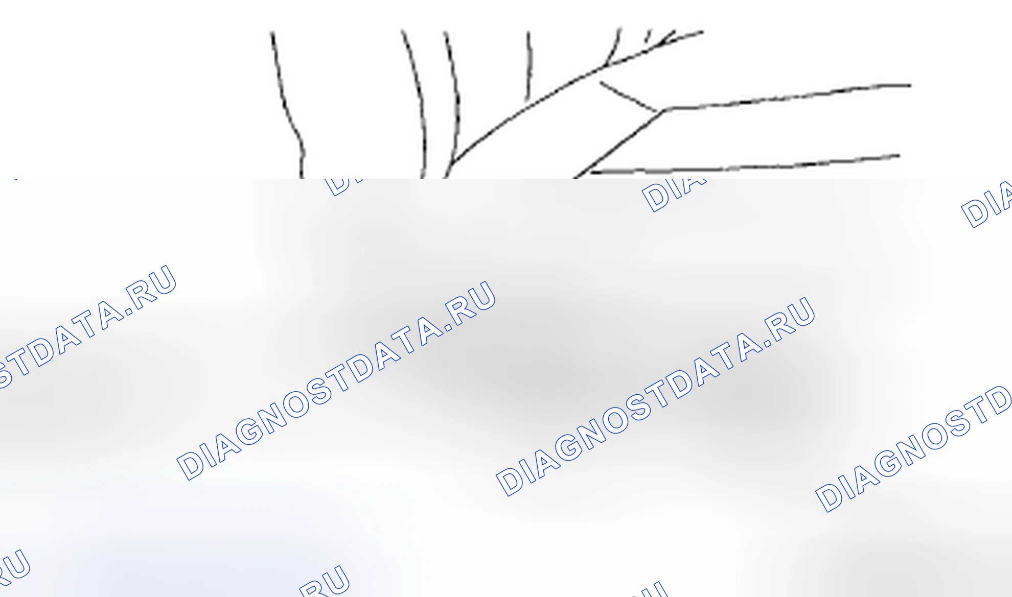 Рис. 9. Mazda MX-5 NC рестайлинг