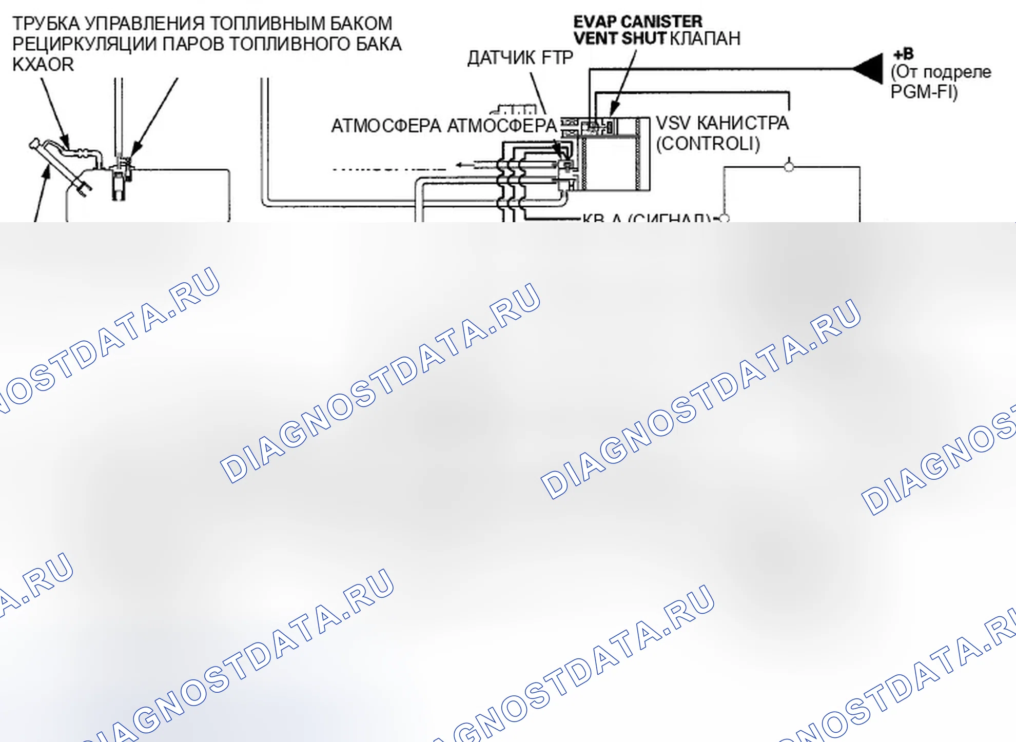 Рис. 1040: Диаграмма контроля выбросов в результате испарения (EVAP). Honda Accord VIII рестайлинг