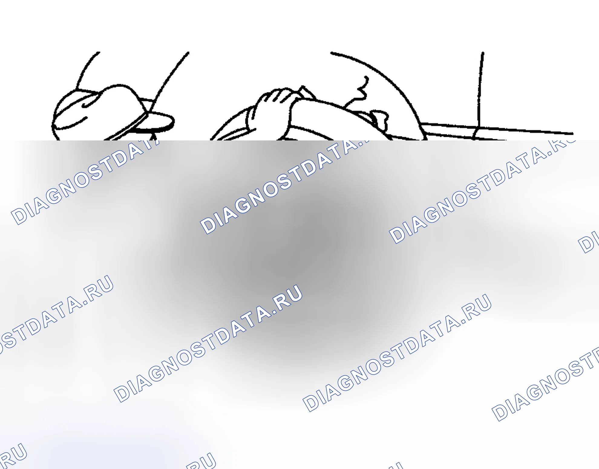 Рис. 3. Subaru Legacy BL/BP