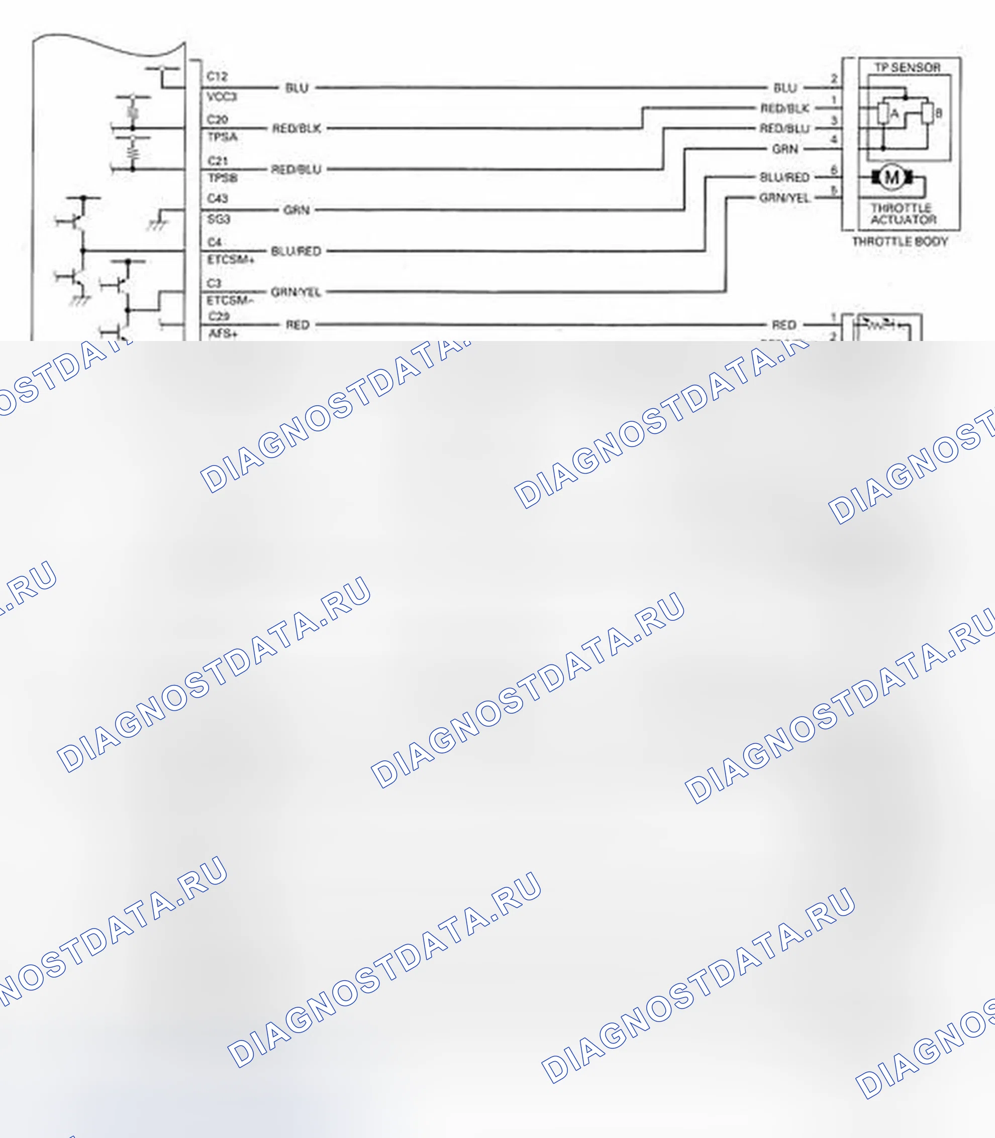 Рис. 1005. Honda Accord VIII рестайлинг