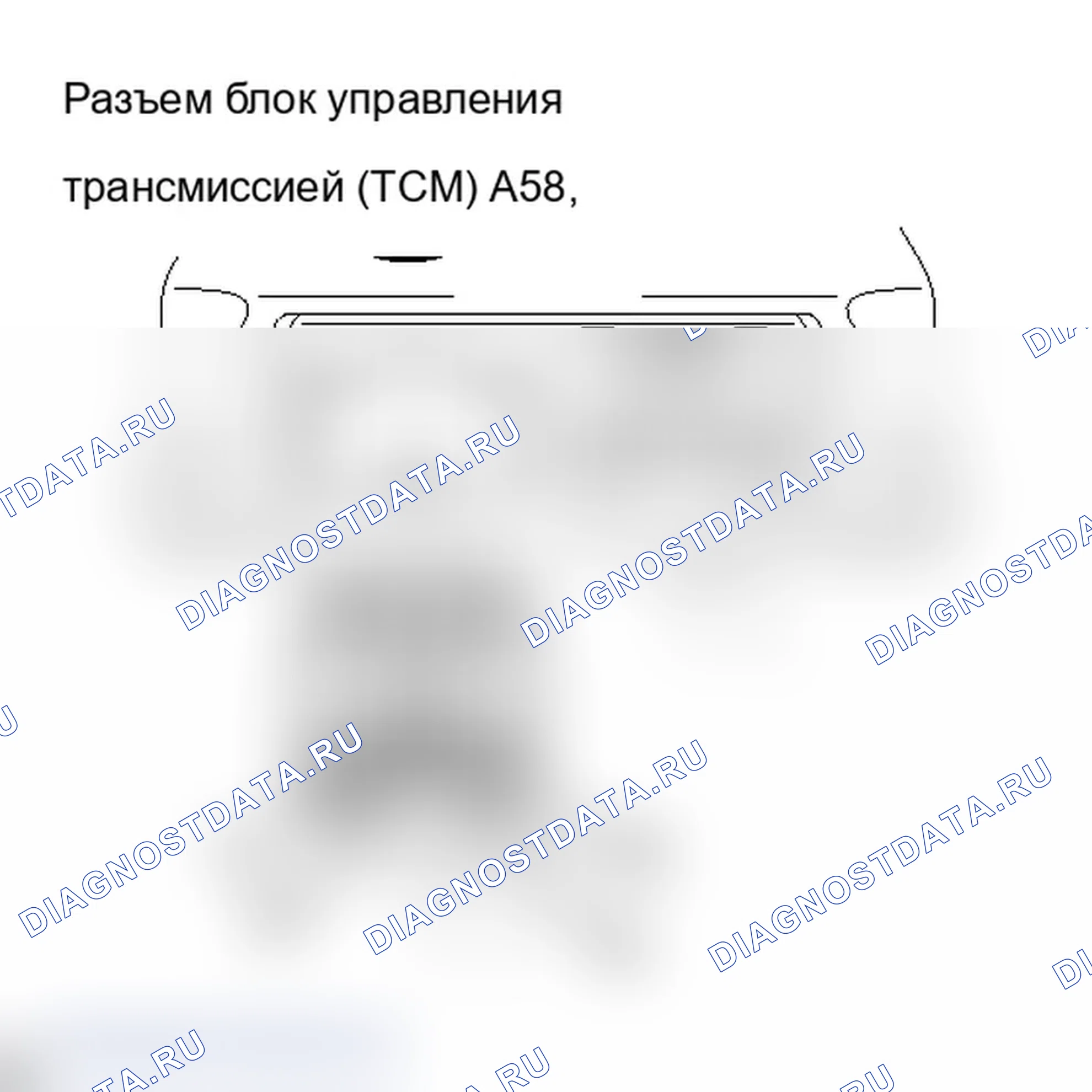 Рис. 379. Lexus IS F I