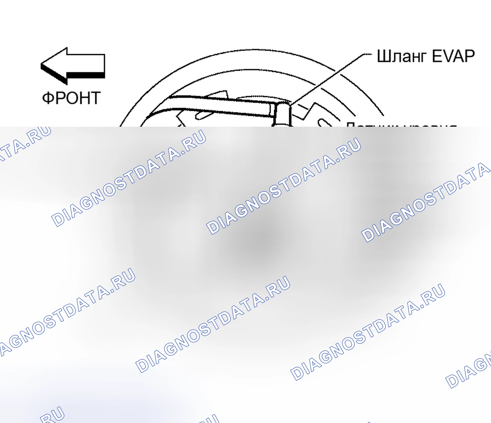 Рис. 5. Nissan Altima L31 рестайлинг
