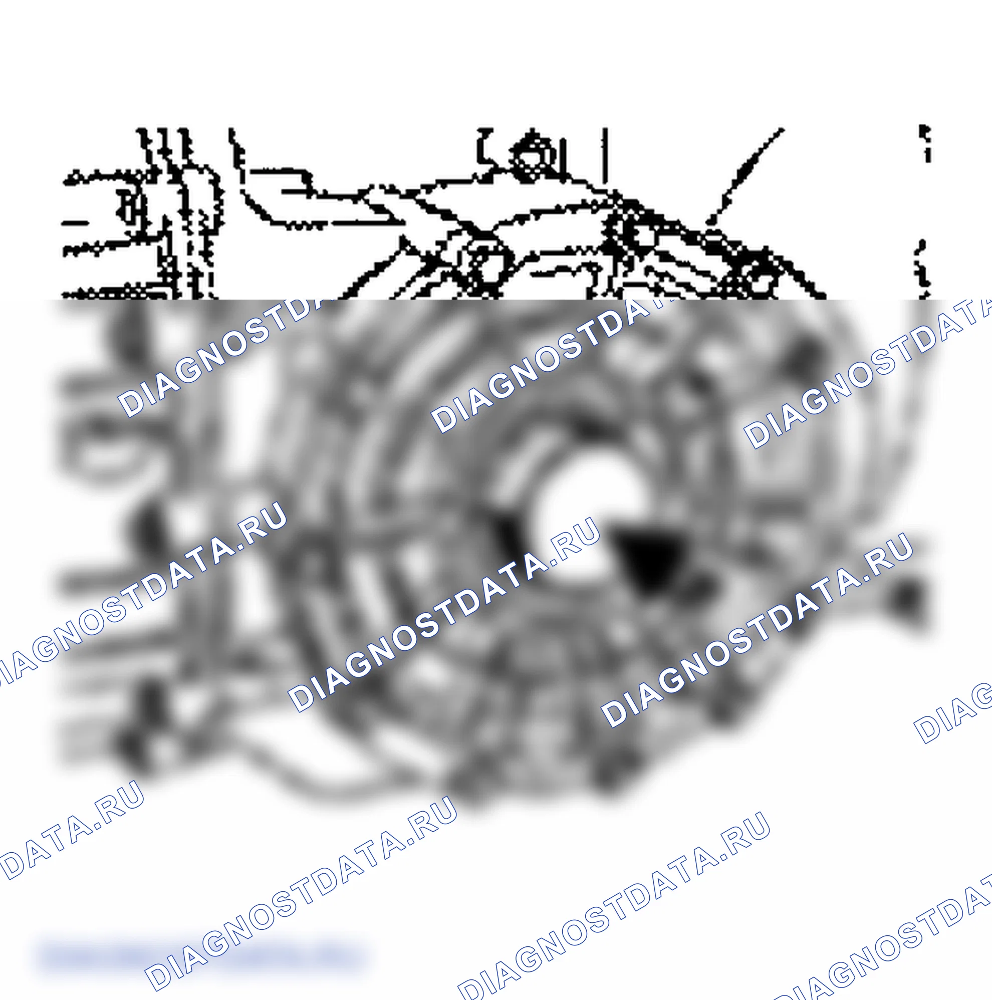 Рис. 74: Установка уплотнительного кольца для фланца полуоси. Porsche 911 Carrera 996 рестайлинг