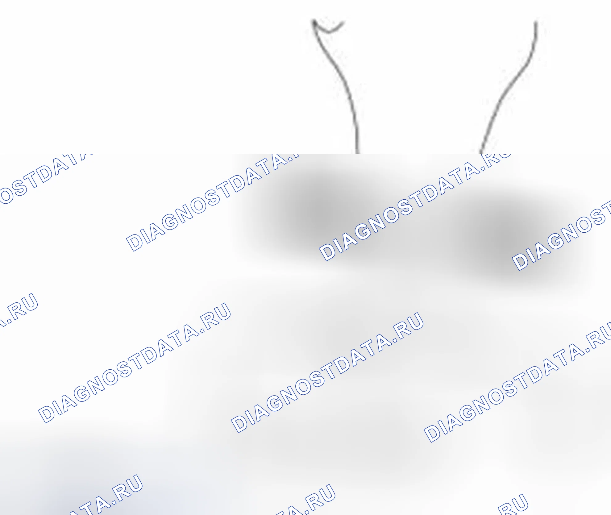Рис. 296. Ford Fiesta Mk6
