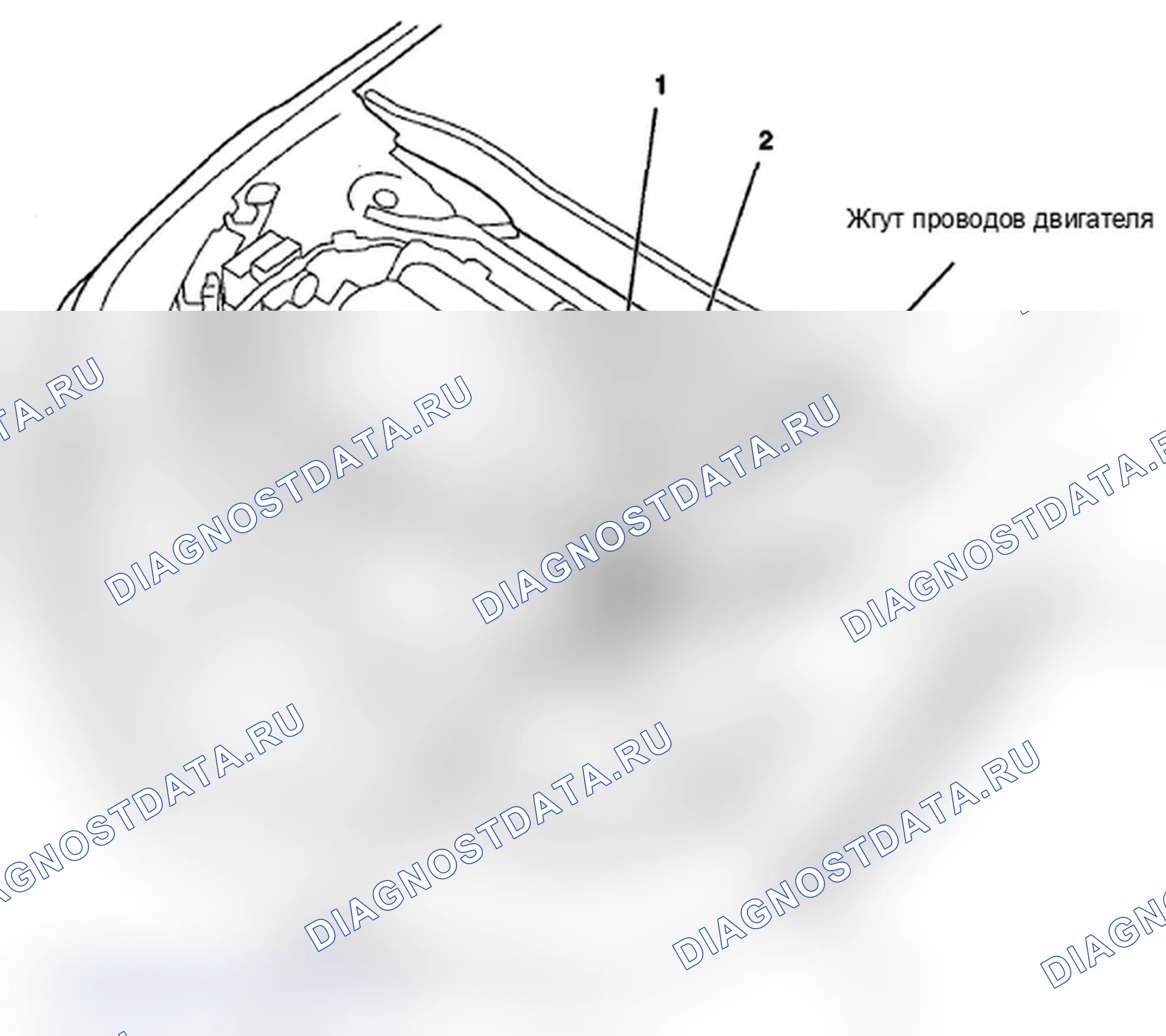 Рис. 516: Идентификация жгута проводов двигателя (стр. 203-15). Acura TL IV