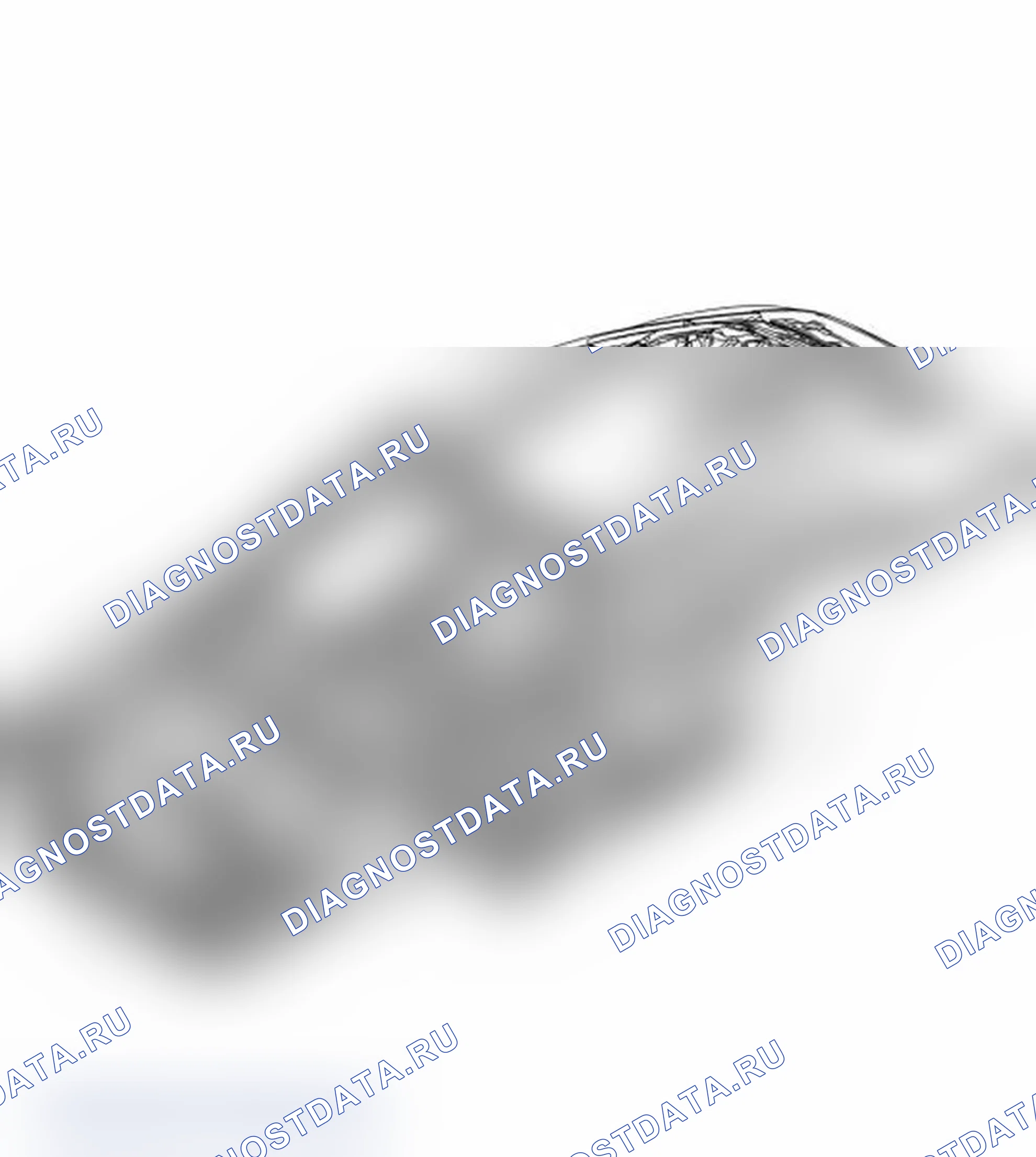 Рис. 645: Высокопрочные стальные пластины. Porsche 911 GT3 997