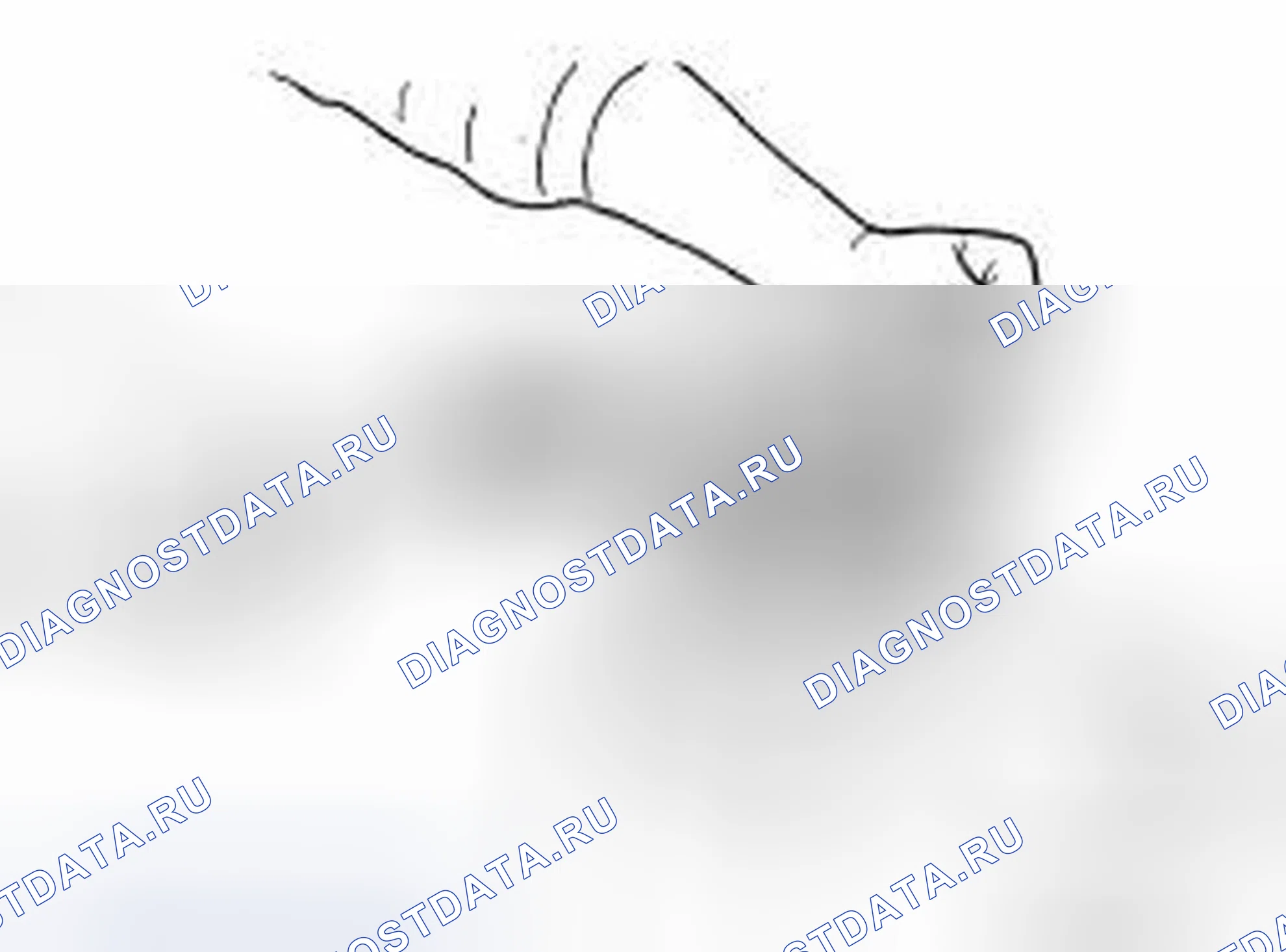Рис. 193. Infiniti FX35 I рестайлинг