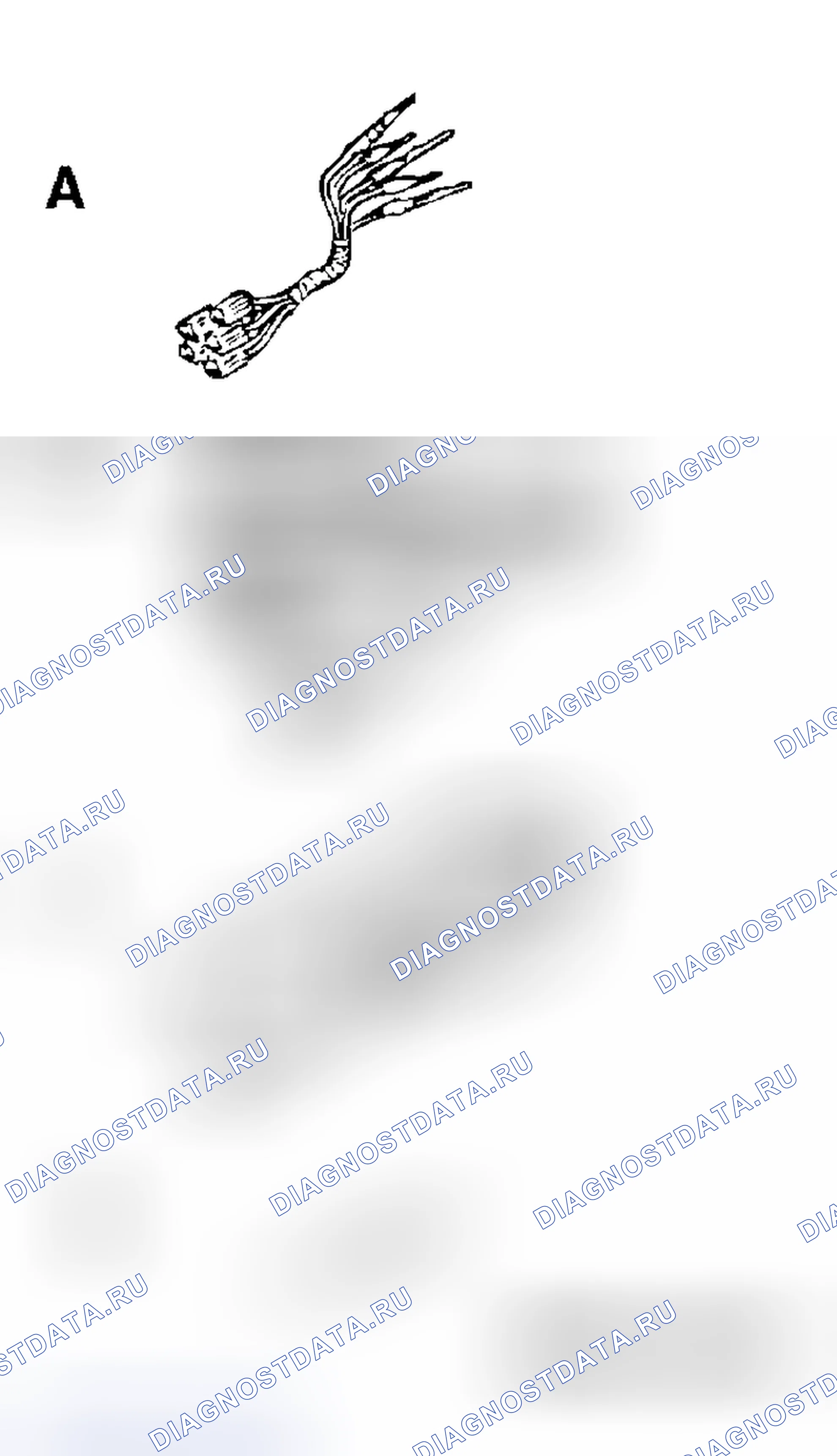 Рис. 413. Honda Grace I