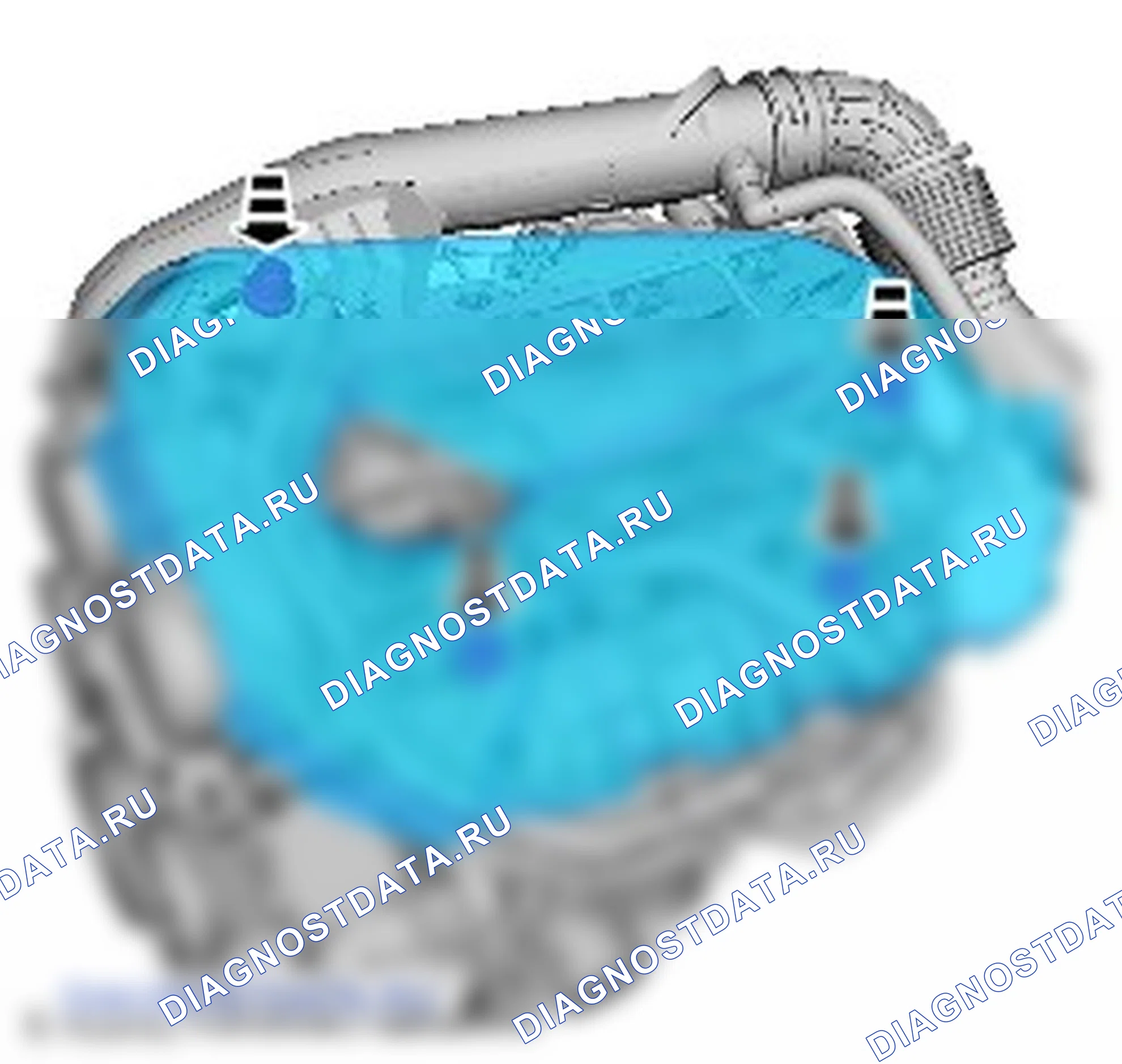 Ремень ГРМ: описание и работа. Ford Grand C-MAX II