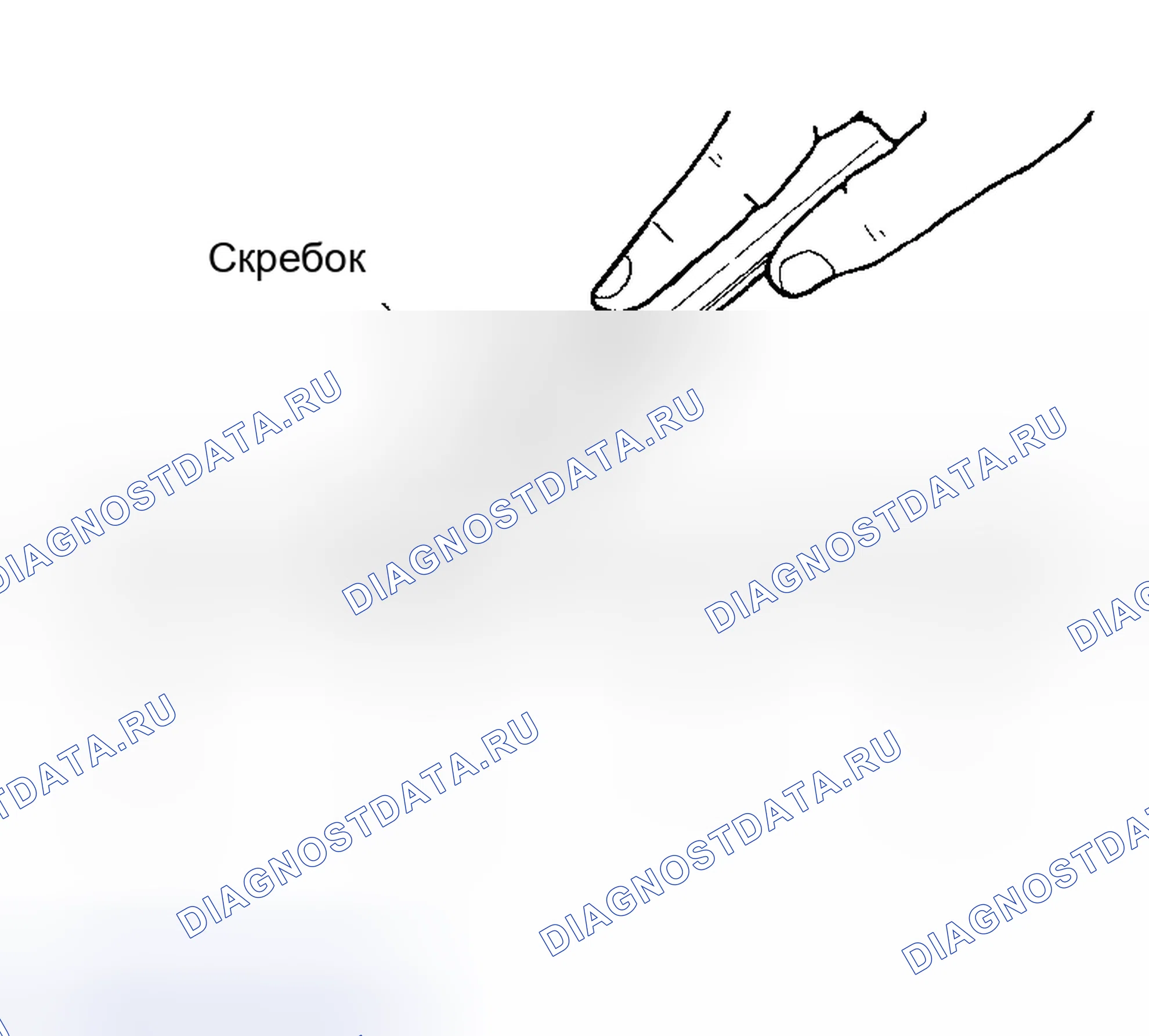 Рис. 58: ПРОЦЕДУРА УСТАНОВКИ ЖИДКОСТНОЙ ПРОКЛАДКИ. Honda Odyssey (North America) I