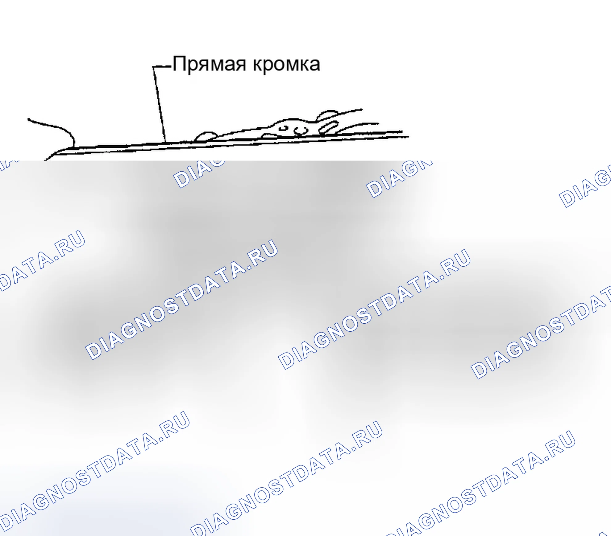 Рис. 230: ДЕФОРМАЦИЯ И ИЗНОС БЛОКА ЦИЛИНДРОВ. Infiniti I35 II