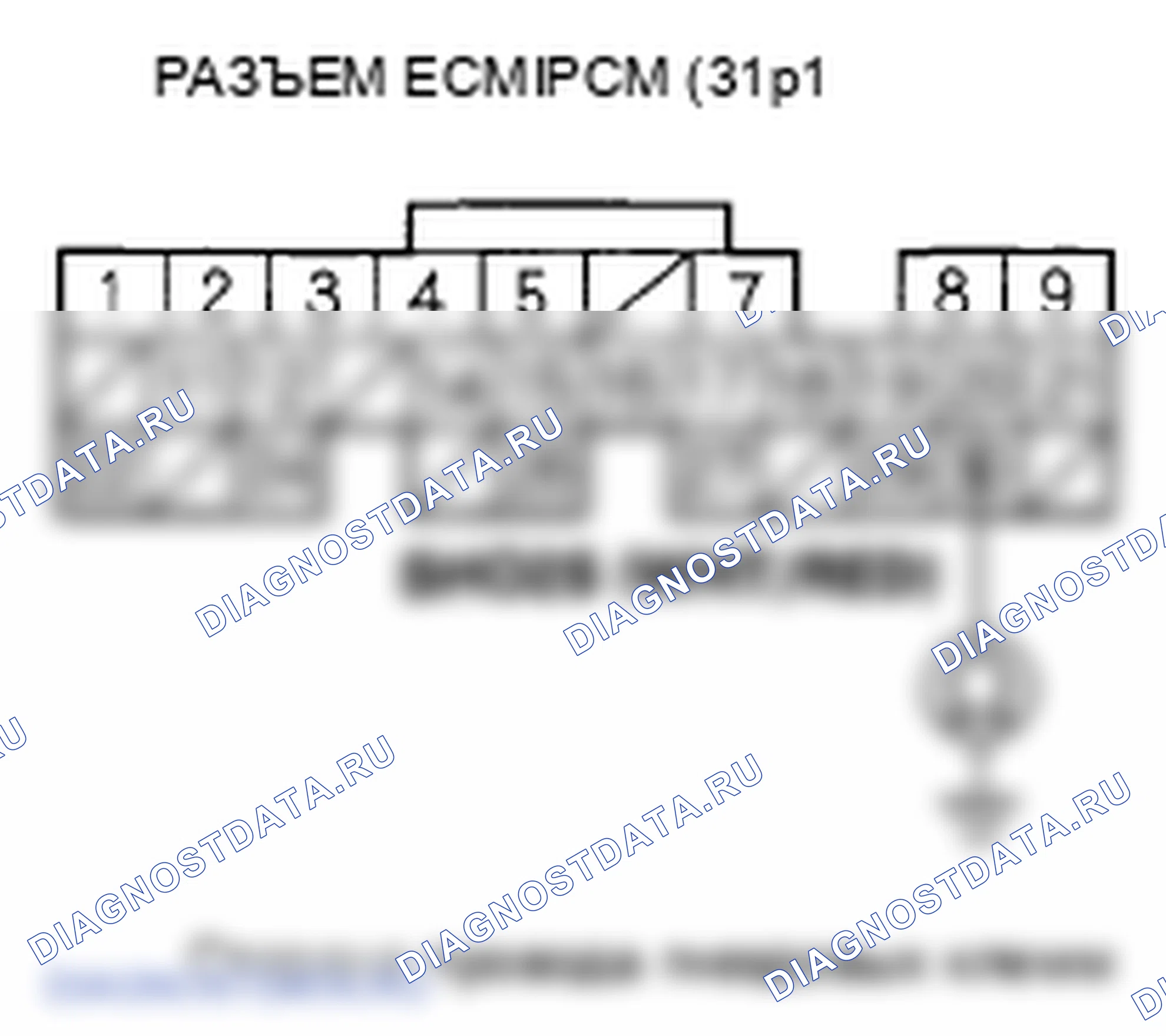 Рис. 397. Honda Element YH2 рестайлинг