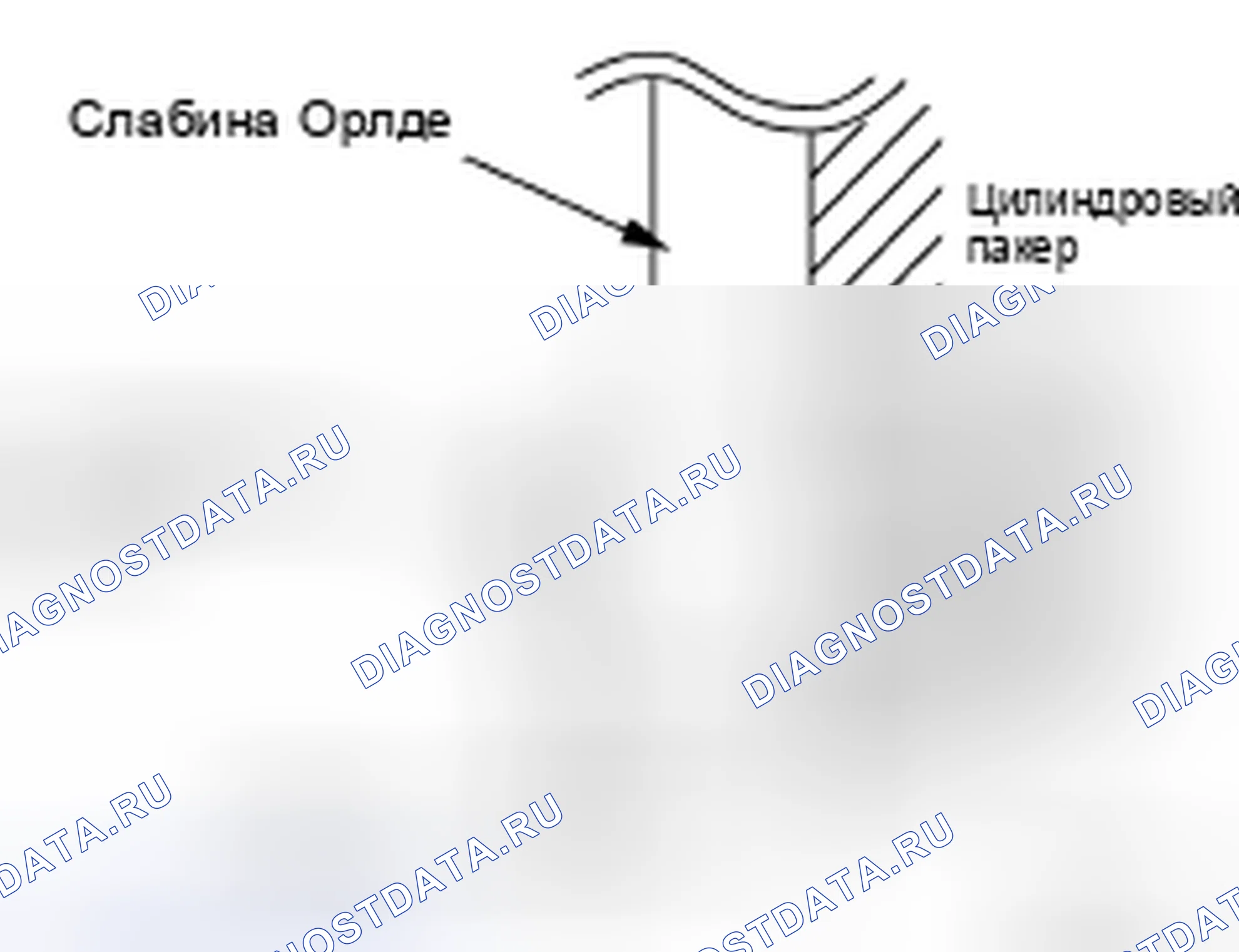 Рис. 141. Honda Passport I