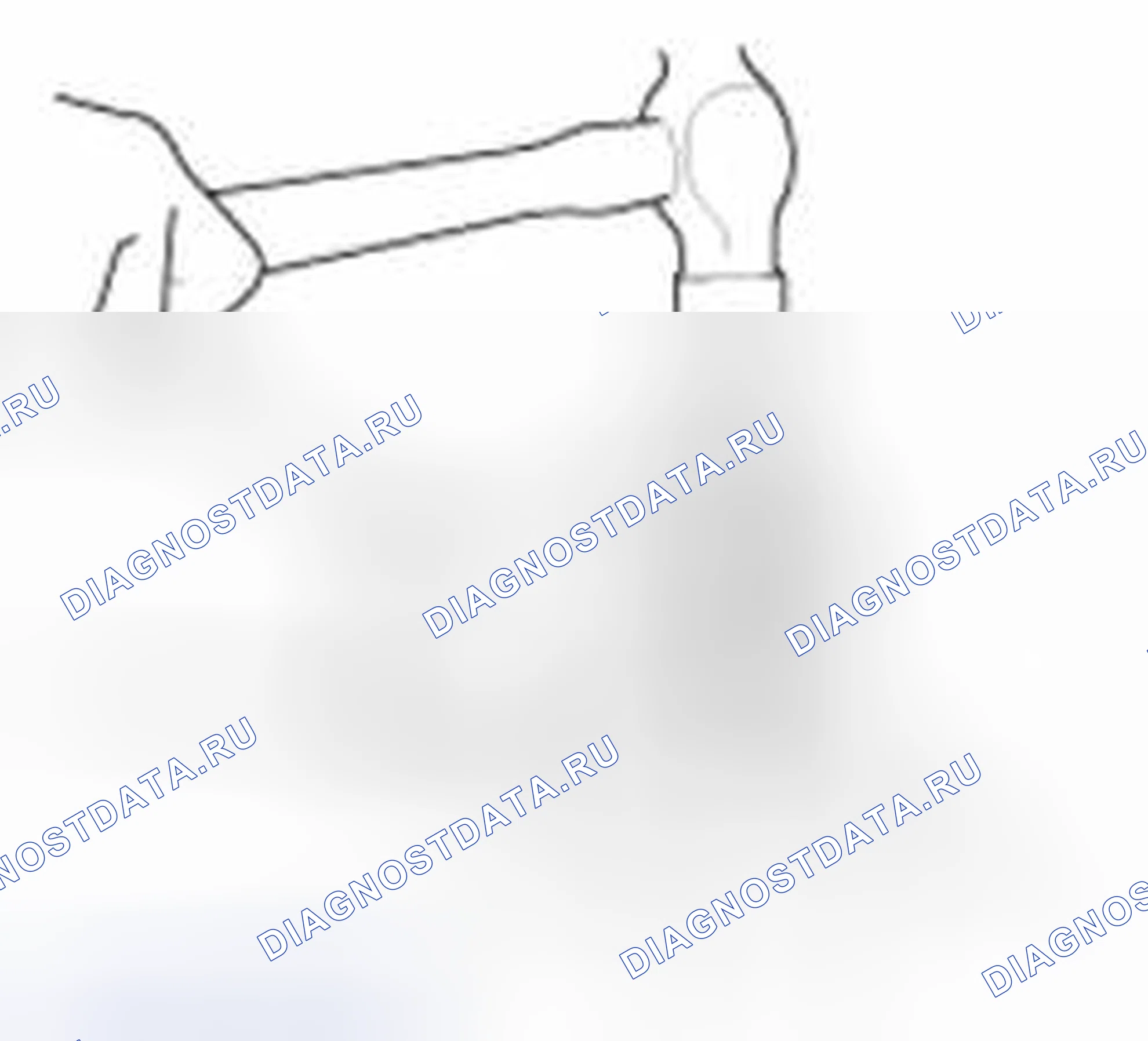 Рис. 14. Geely SC7 I