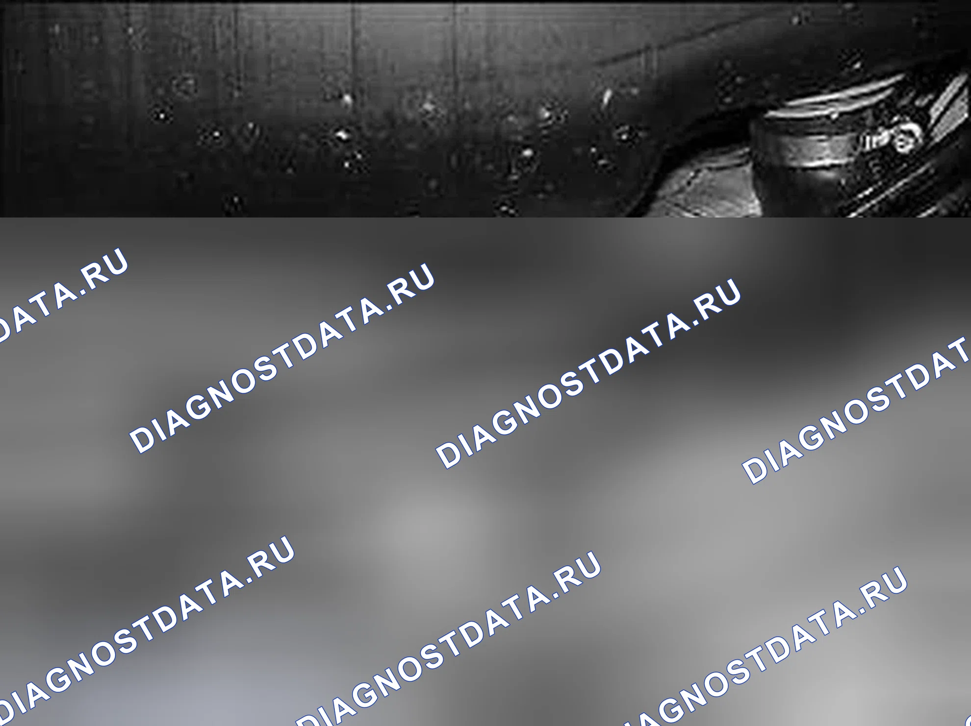 Рис. 49: Отпускные болты Banjo (1). BMW X5 E70