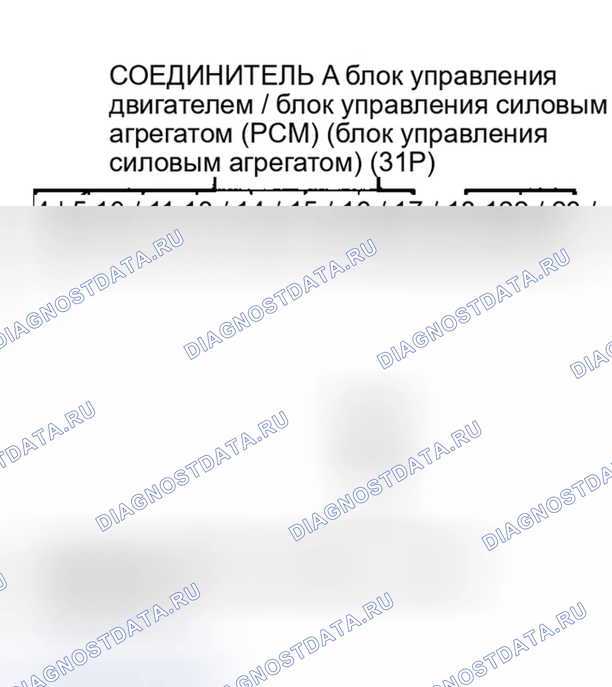 Рис. 798. Honda Accord VII рестайлинг