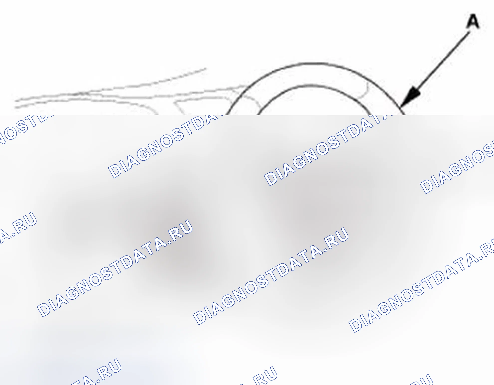 Рис. 323. Honda Civic IX