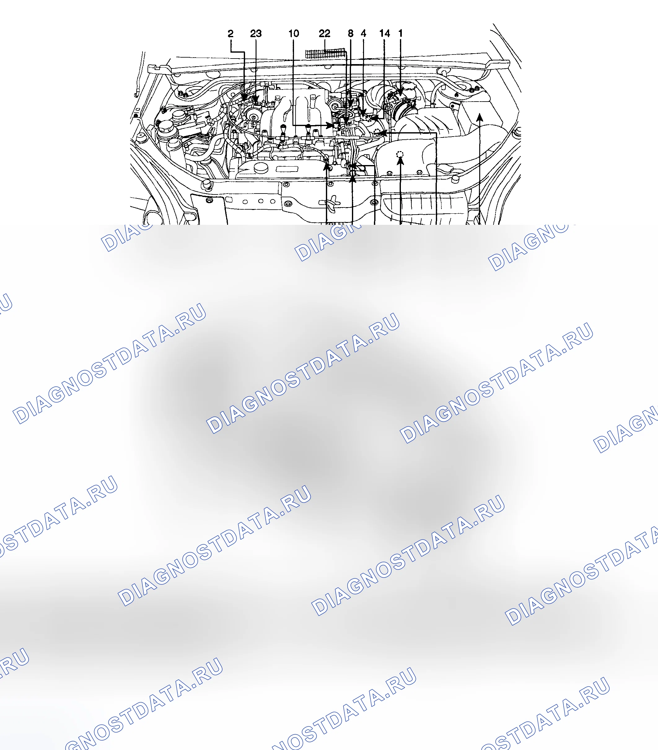 Рис. 21: РАСПОЛОЖЕНИЕ КОМПОНЕНТОВ. Kia Sportage II