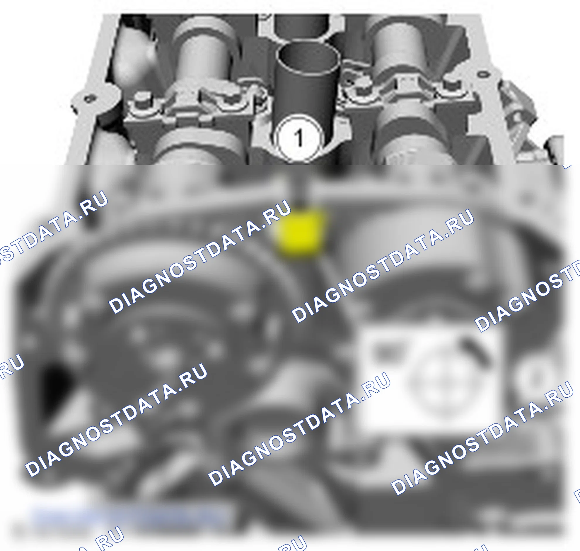 регулируемое газораспределение (VCT) Единица: описание и работа. Ford Mustang VI