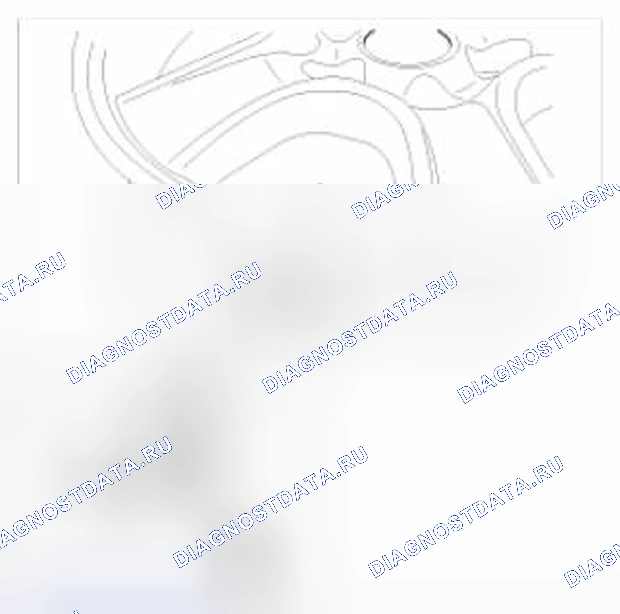 Рис. 48: При включении предупреждающей лампы TPMS. BMW 6 серия F06/F13/F12