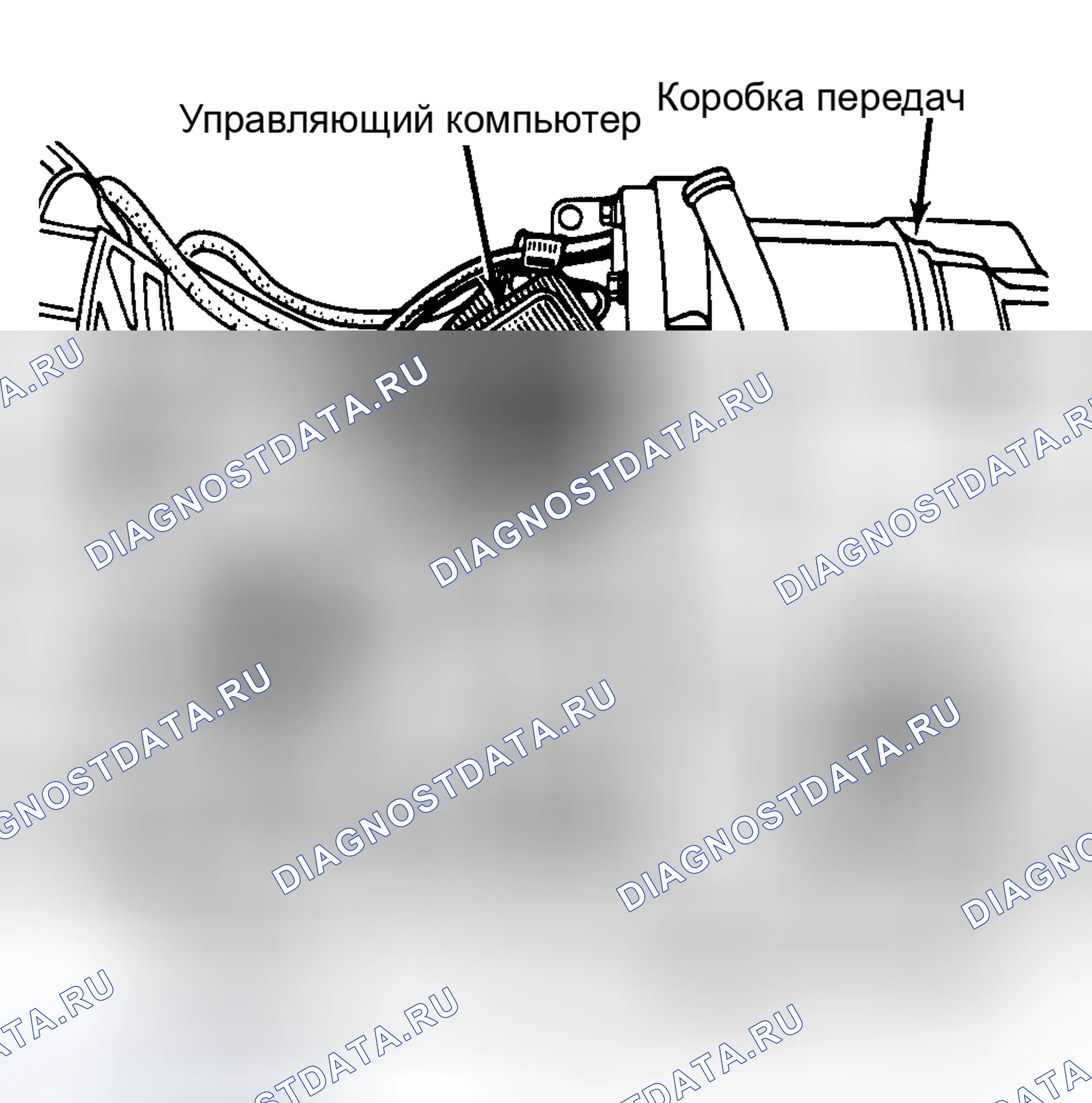 Рис. 5: Расположение гайки дифференциального подшипника. Renault Fuego I