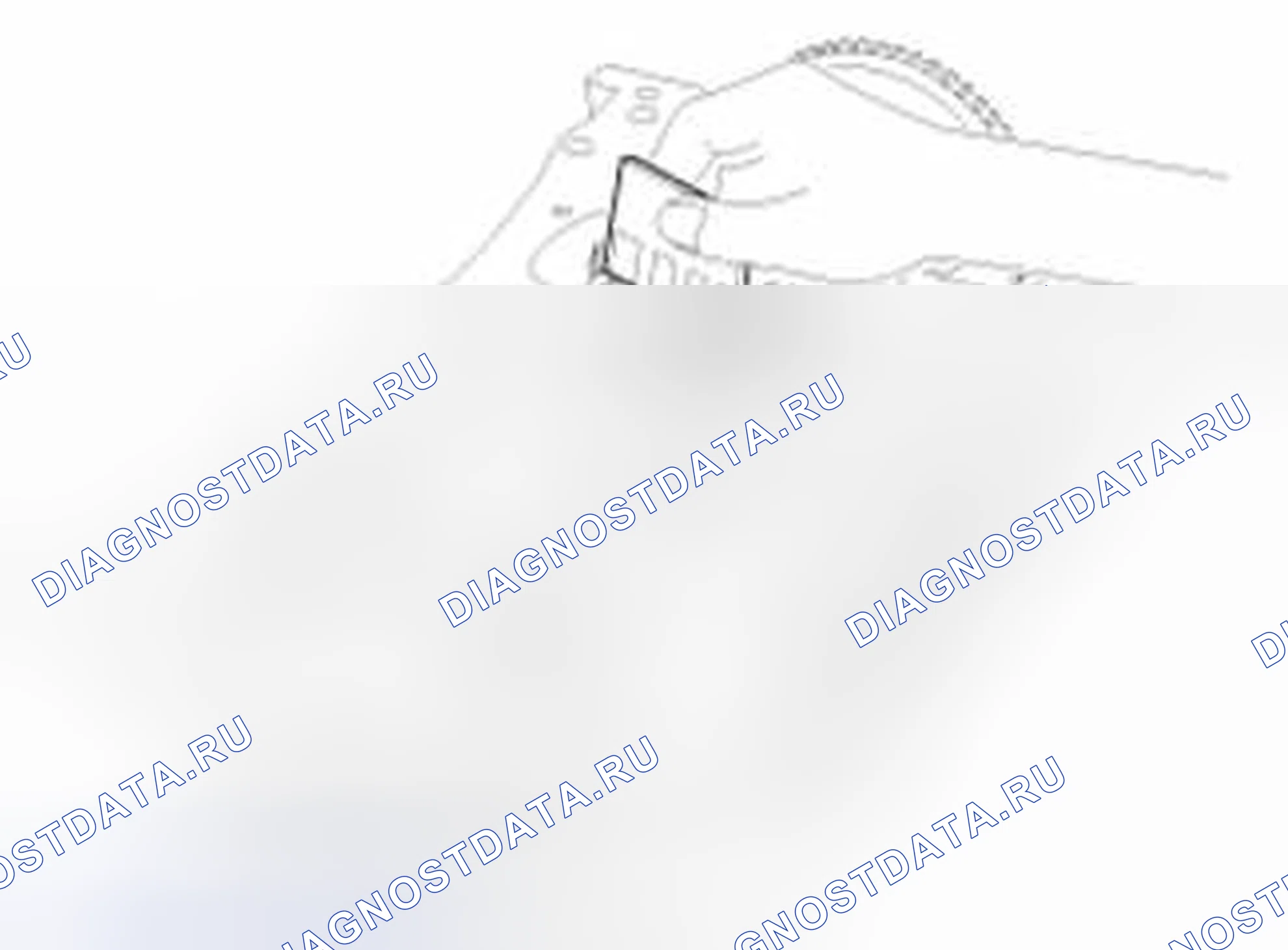 Рис. 560. Haval Beast (Shenshou) I